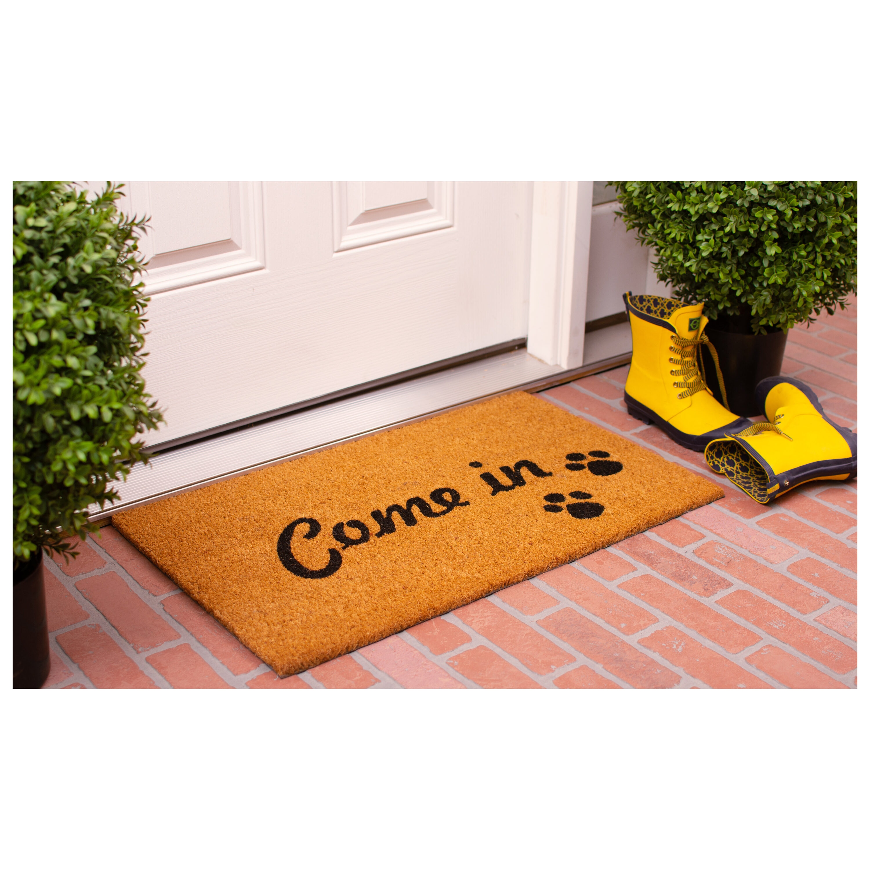 Callowaymills 100451729 Mats-Cat - View #2