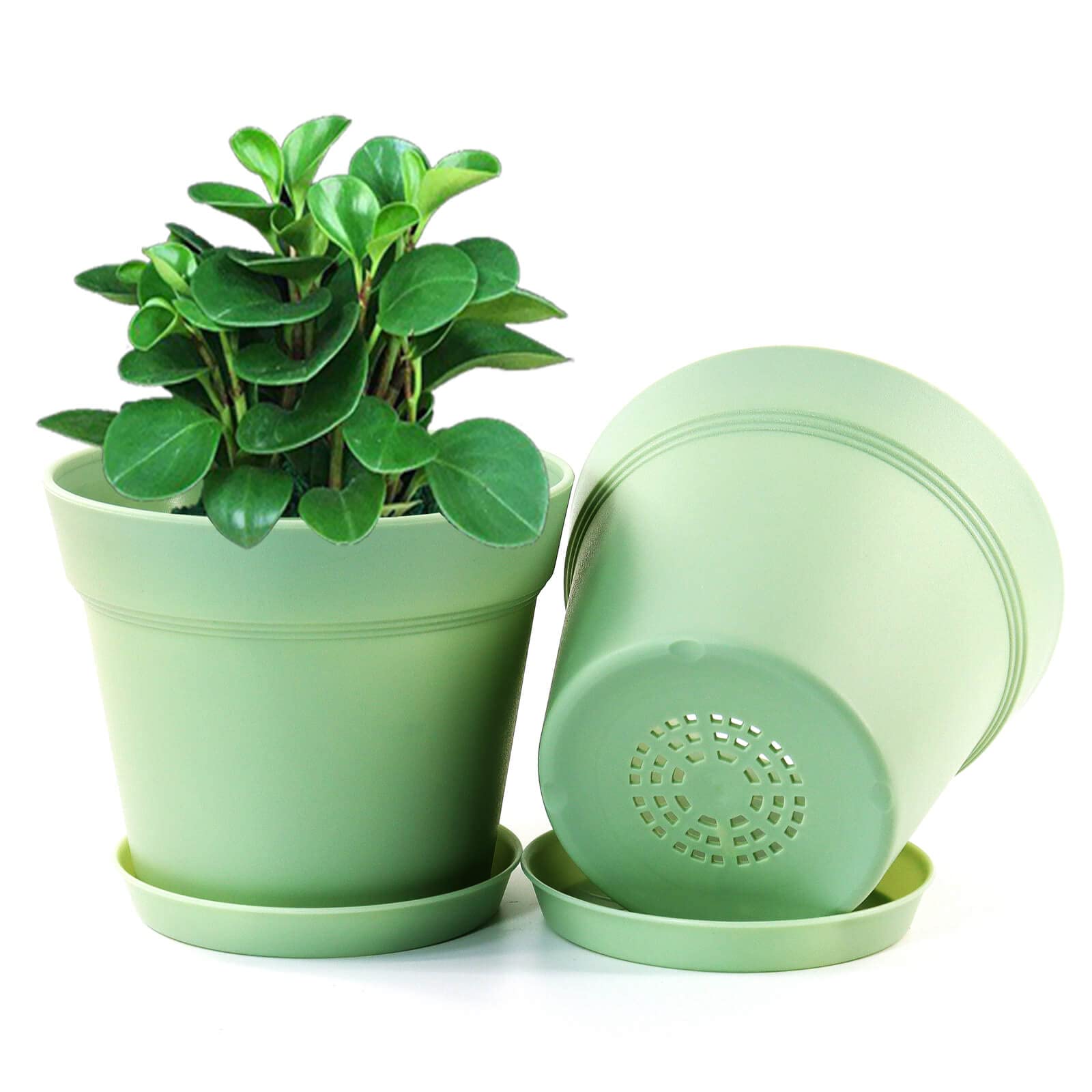 Anqtovp LAN1305P16 Planter-Window-Box - View #4