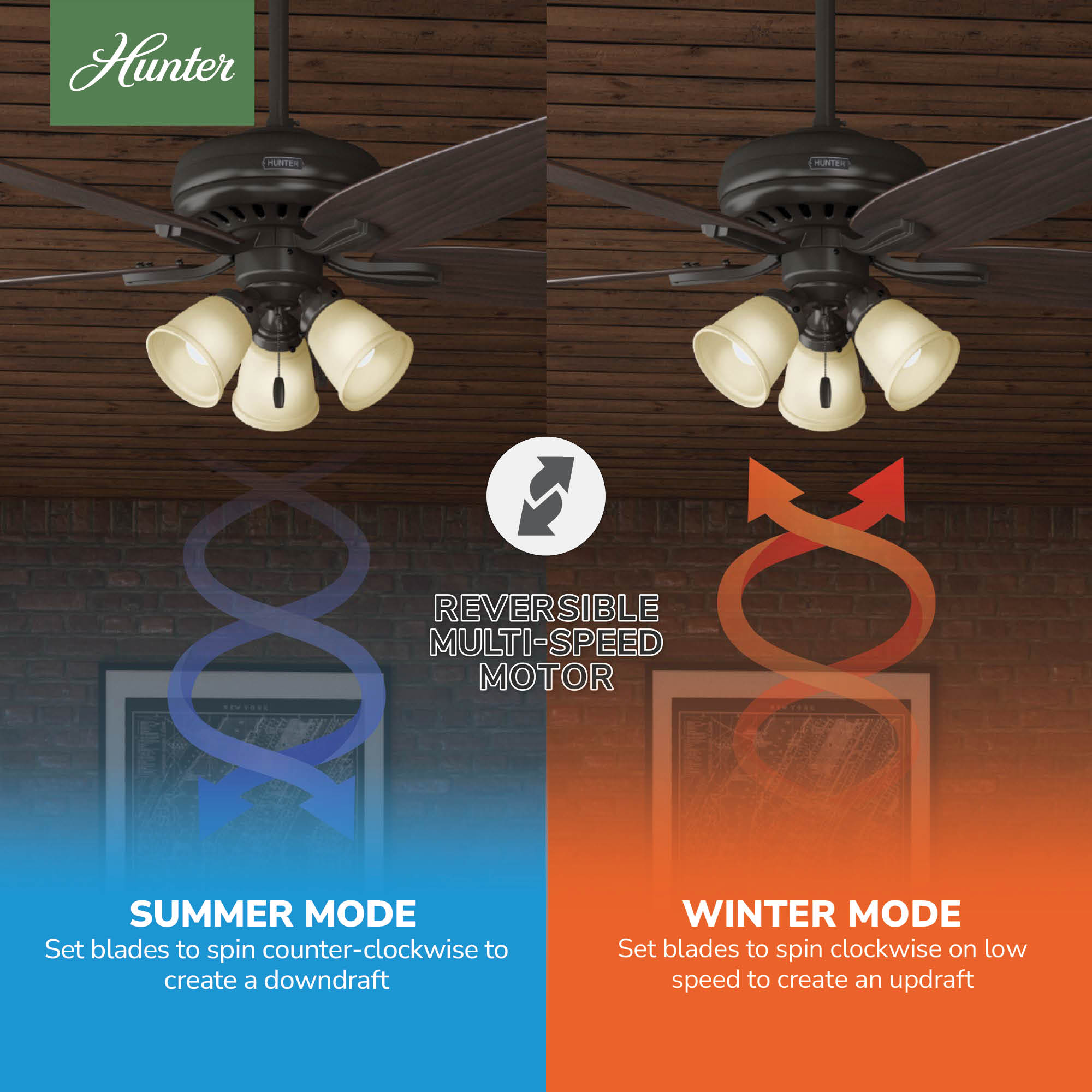 Hunter 53317 Ceiling-Fans - View #8