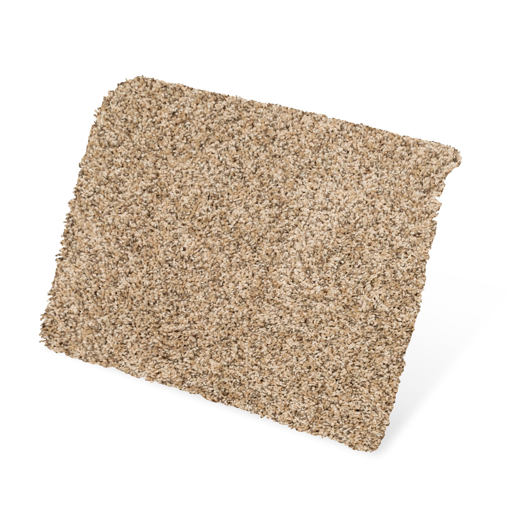 STAINMASTER PetProtect SS062-12-L008 Carpet-Panel - View #3