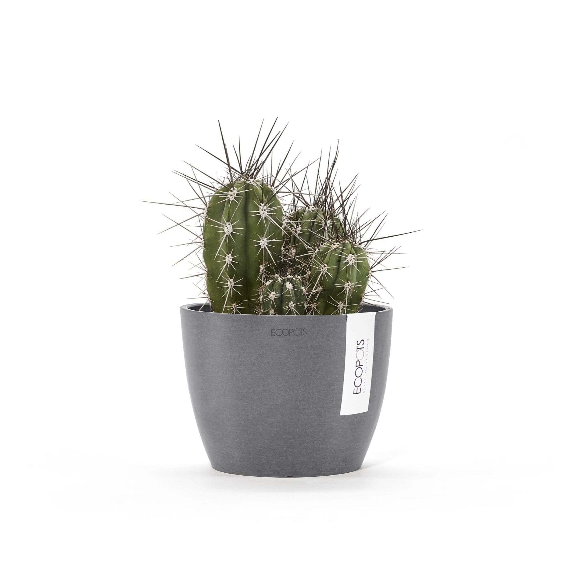 ECOPOTS 5413724304845 Planter-Window-Box - View #5