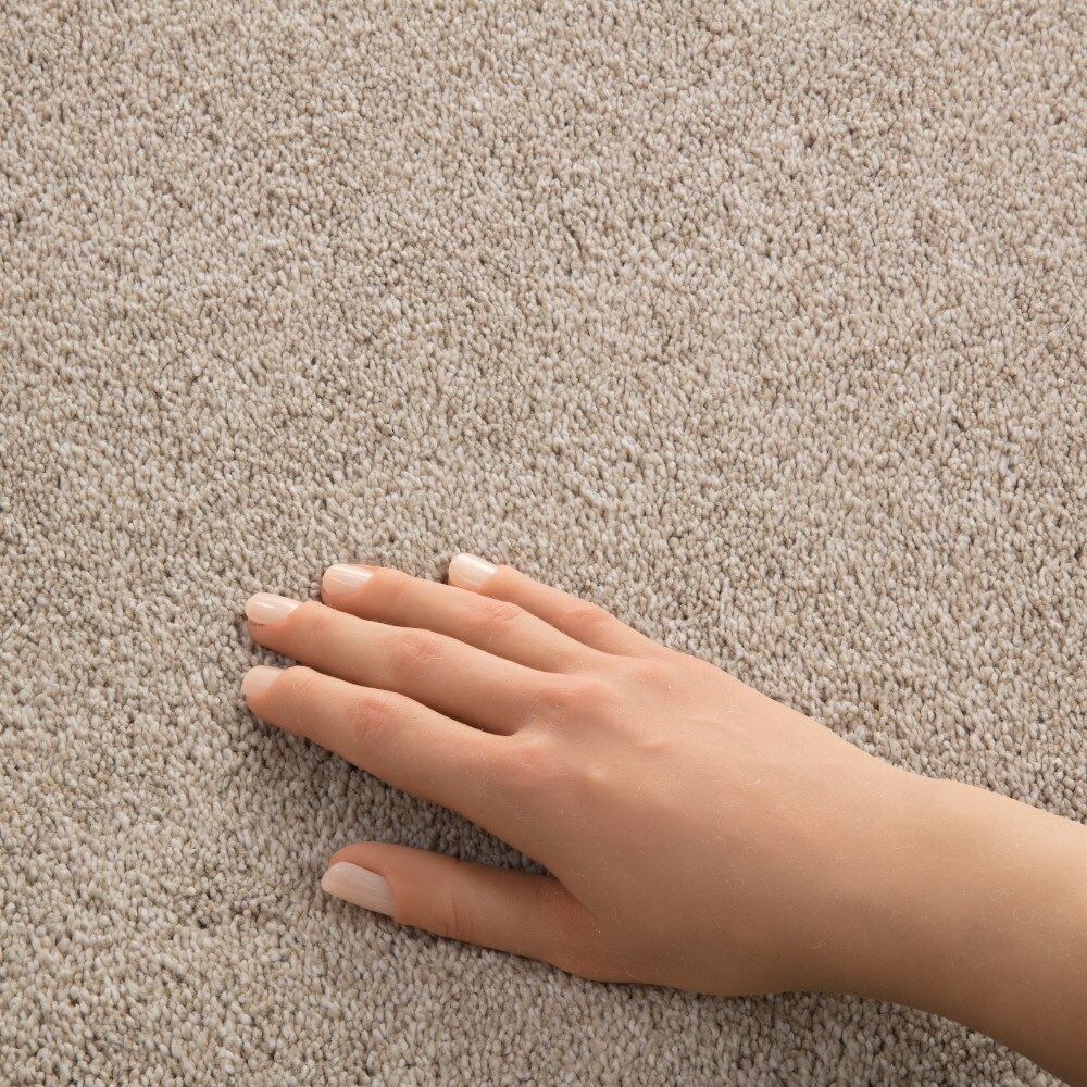 STAINMASTER PetProtect 7L93900122 Carpet-Panel - View #4