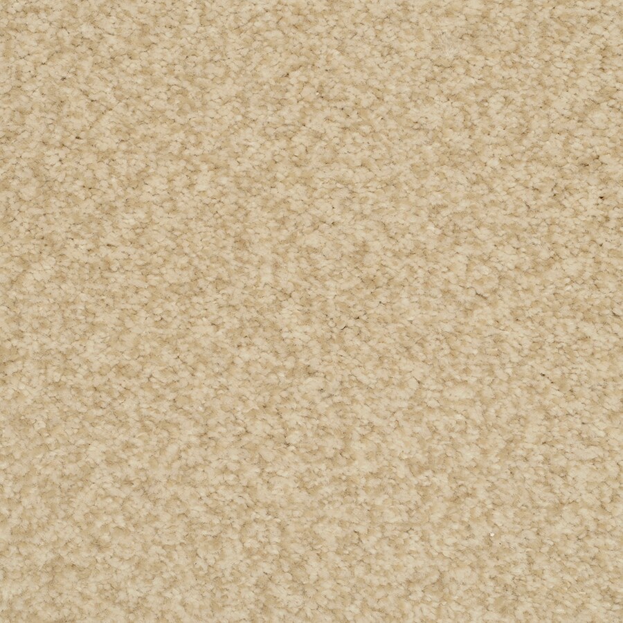 STAINMASTER 2998-102 Special Occasion Magnificent Textured Indoor Carpet