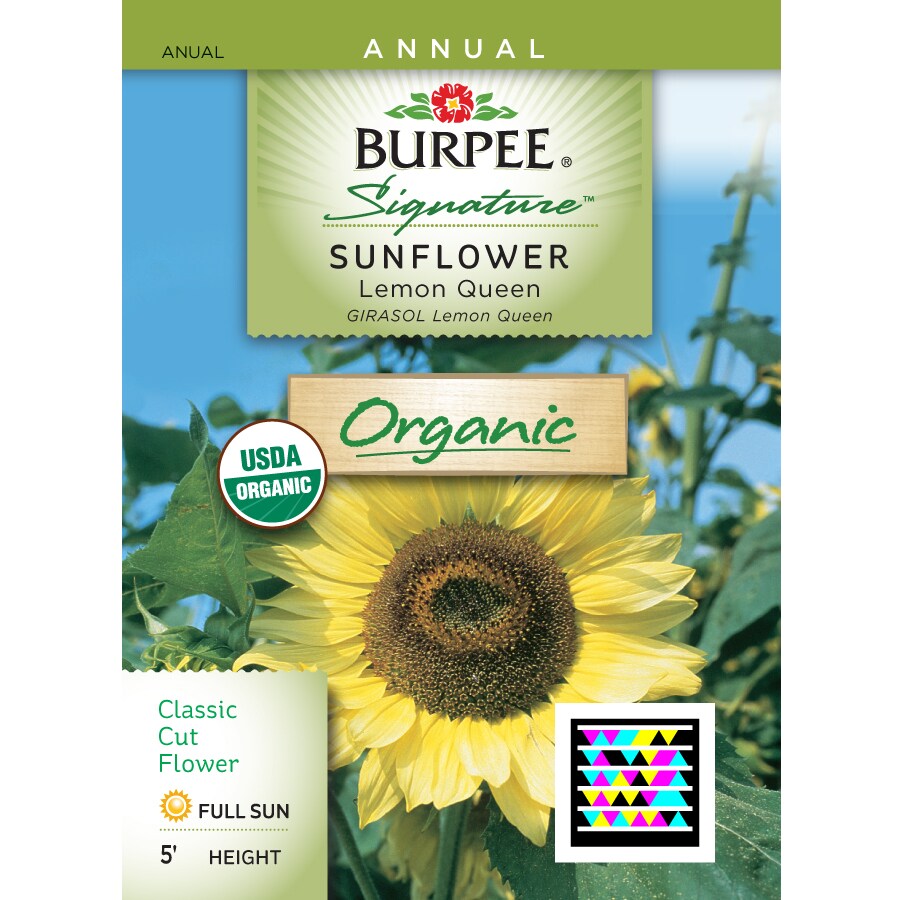 Burpee Organic Sunflower Seeds at Lowes.com