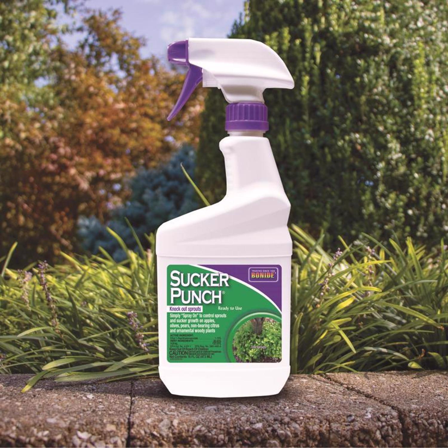 Bonide EJD7399397 Weed-Preventers - View #3