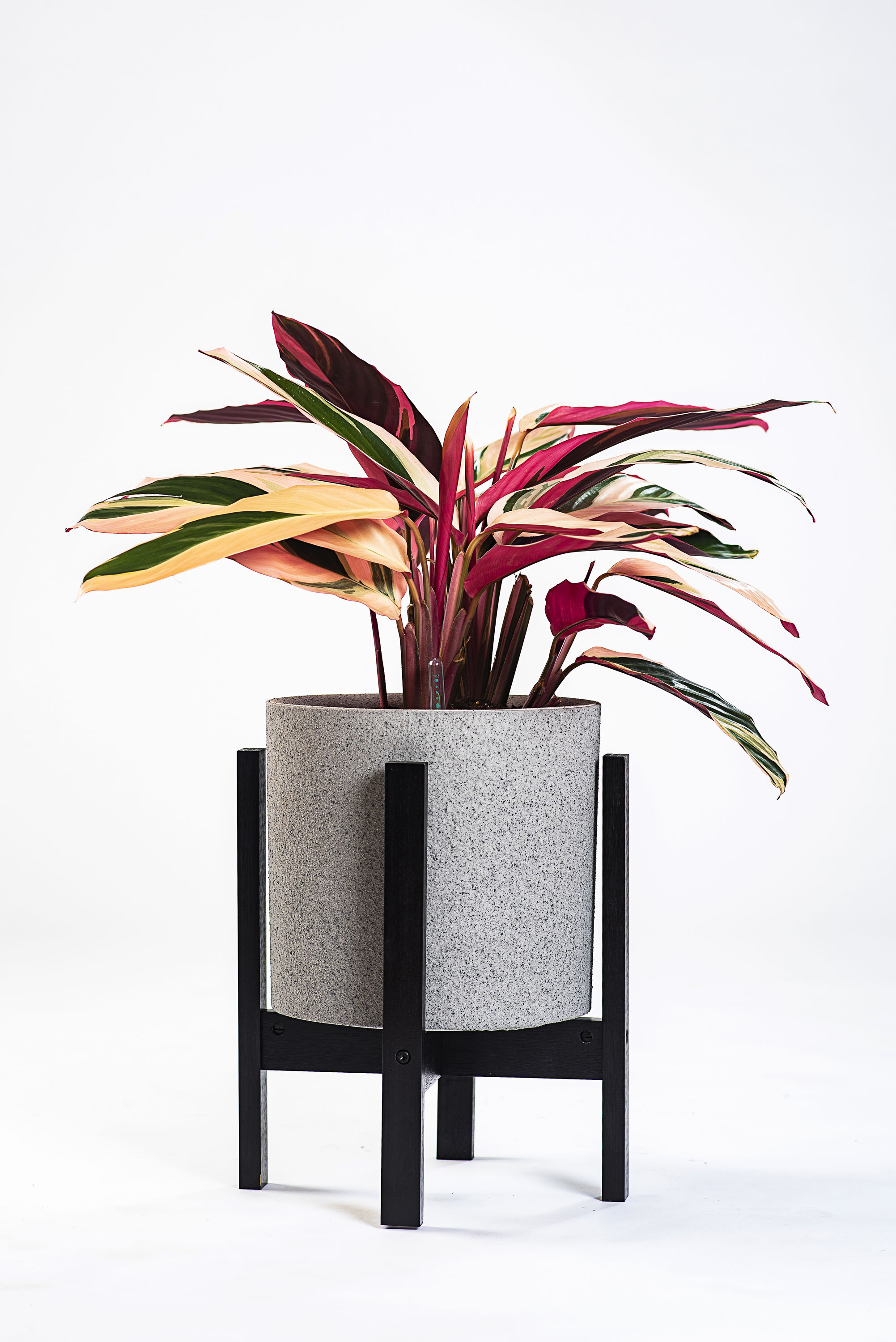 Vita VT17803 Planter-Window-Box - View #9