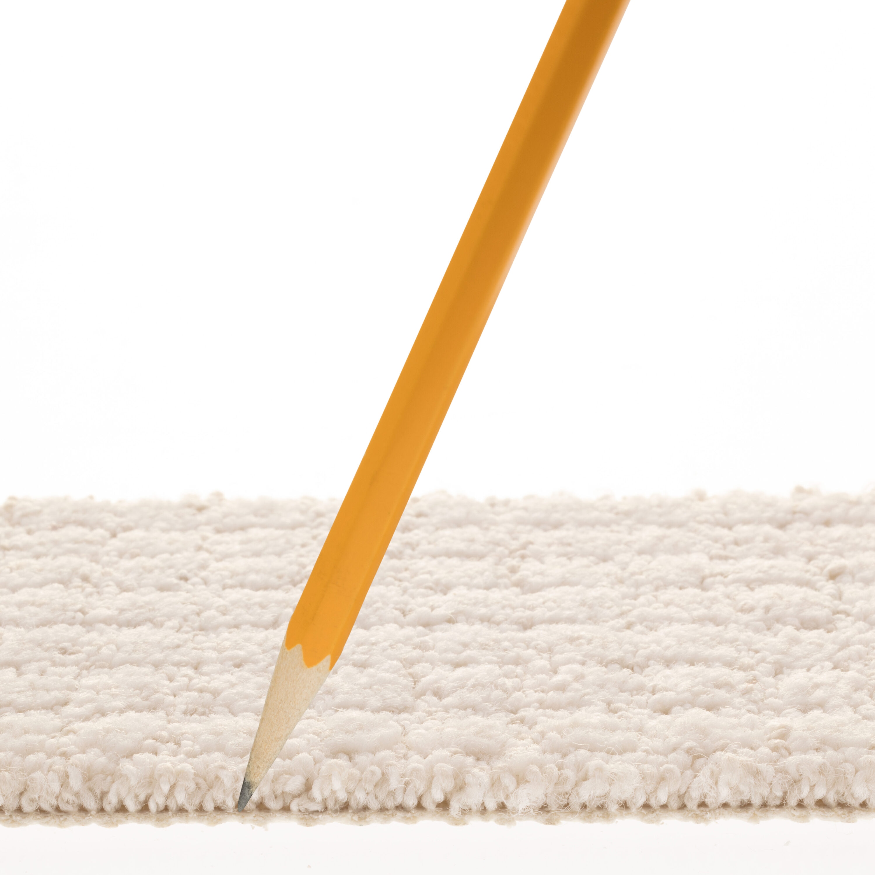 STAINMASTER PetProtect 7L885 - 100 - SAMP Carpet-Samples - View #7
