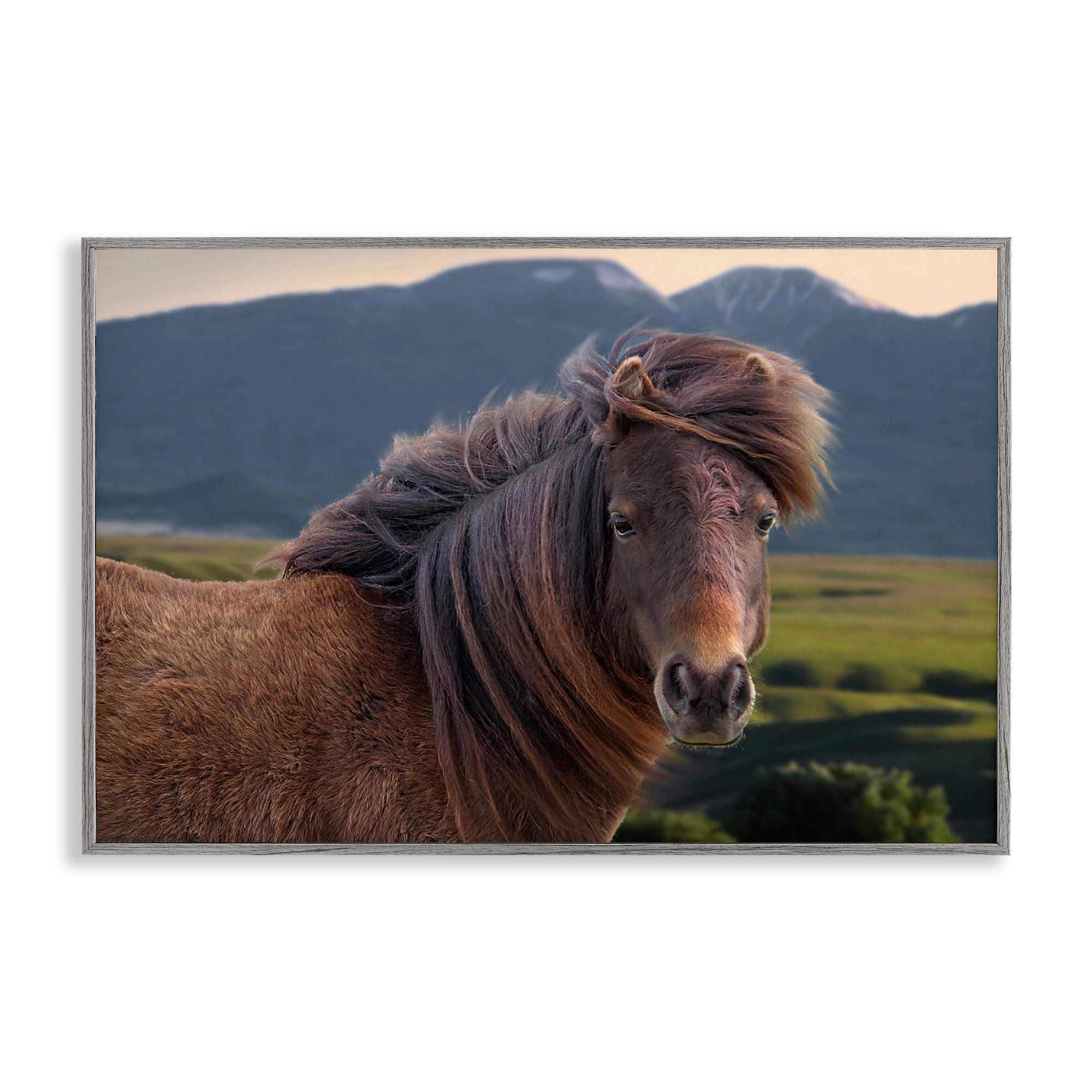 Stupell Industries BT-331-GFF-20X30 Windblown Mare in Mountain Valley Framed Giclee design by Steve Toole