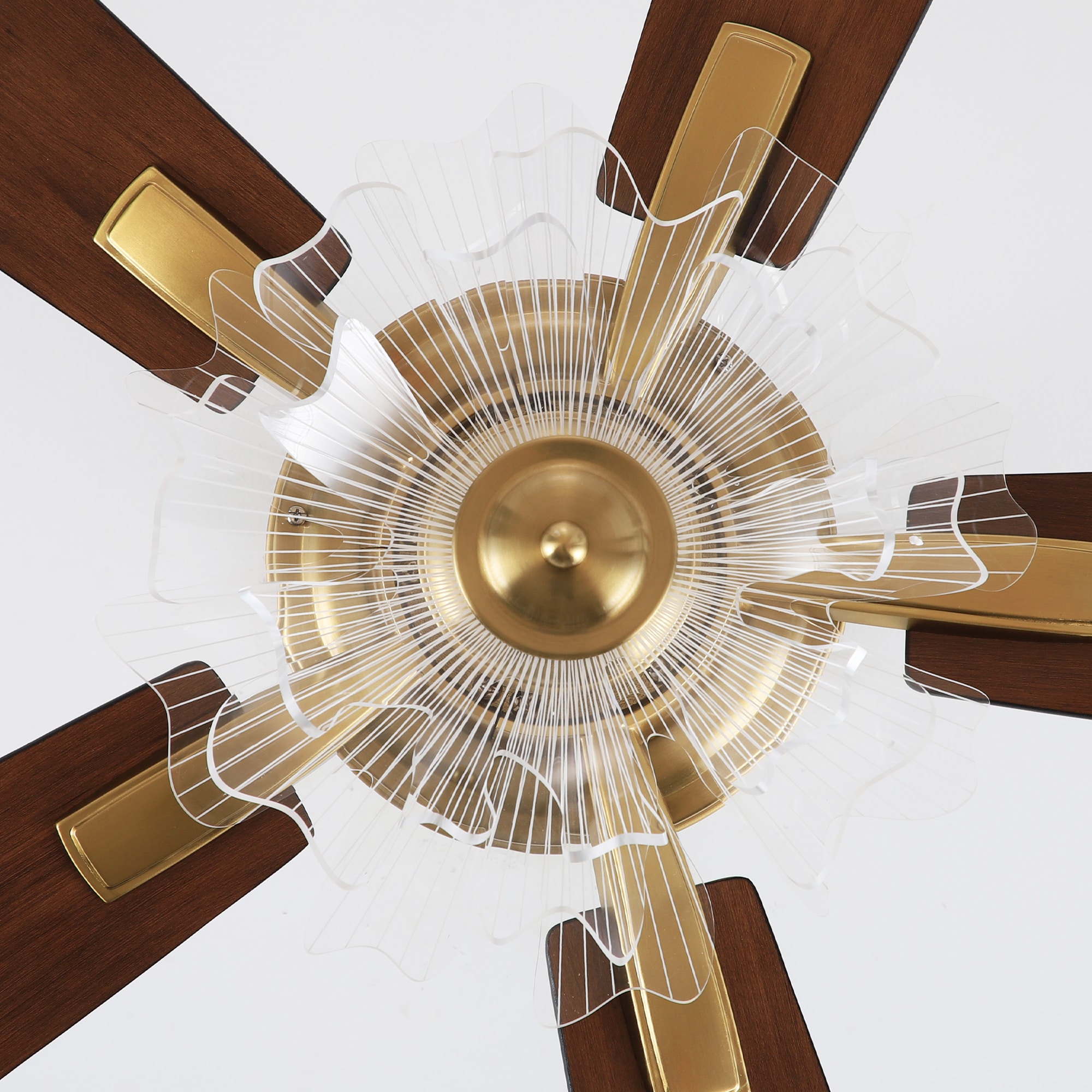 Parrot Uncle F6035GD Ceiling-Fans - View #15