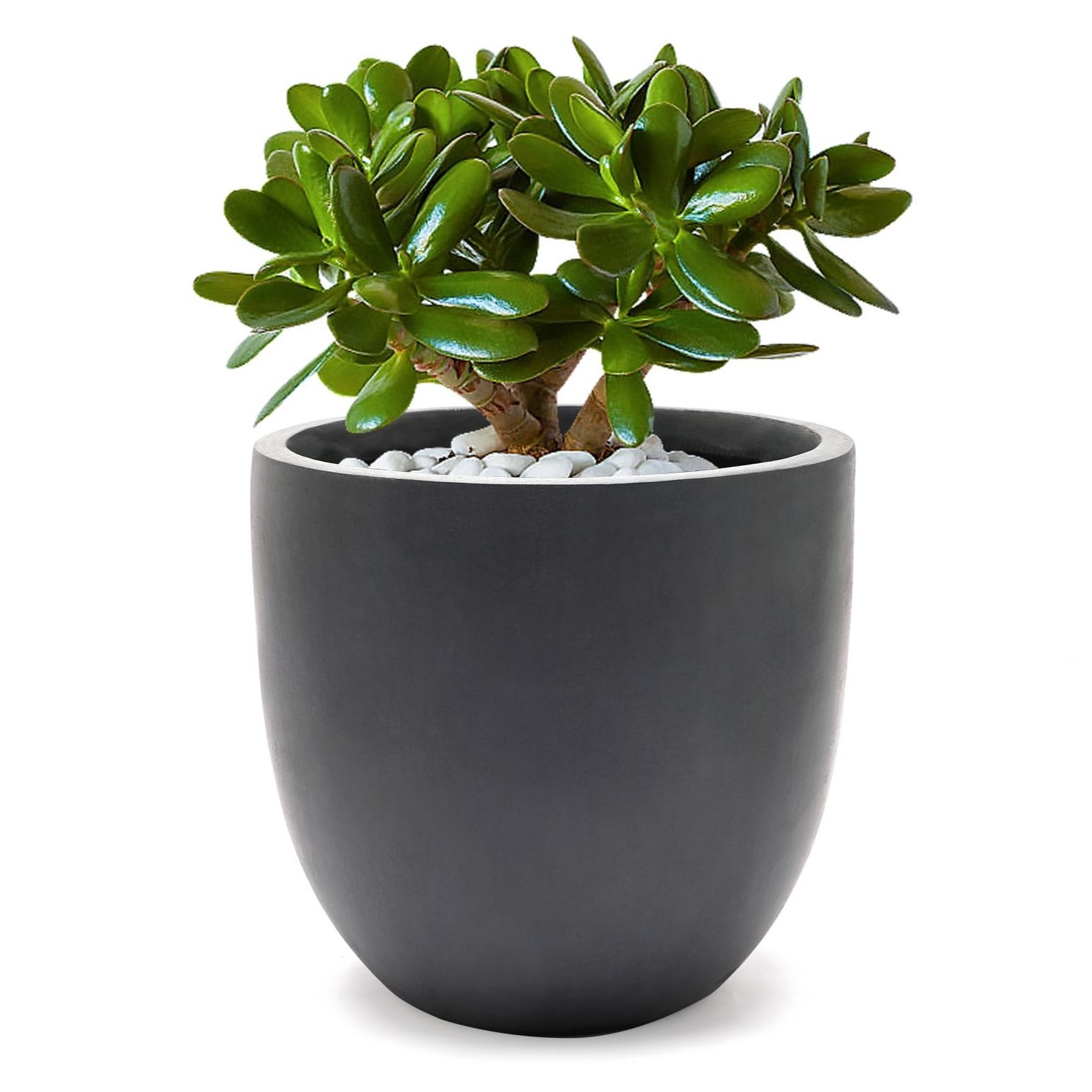 LuxenHome WH033 Planter-Window-Box - View #6