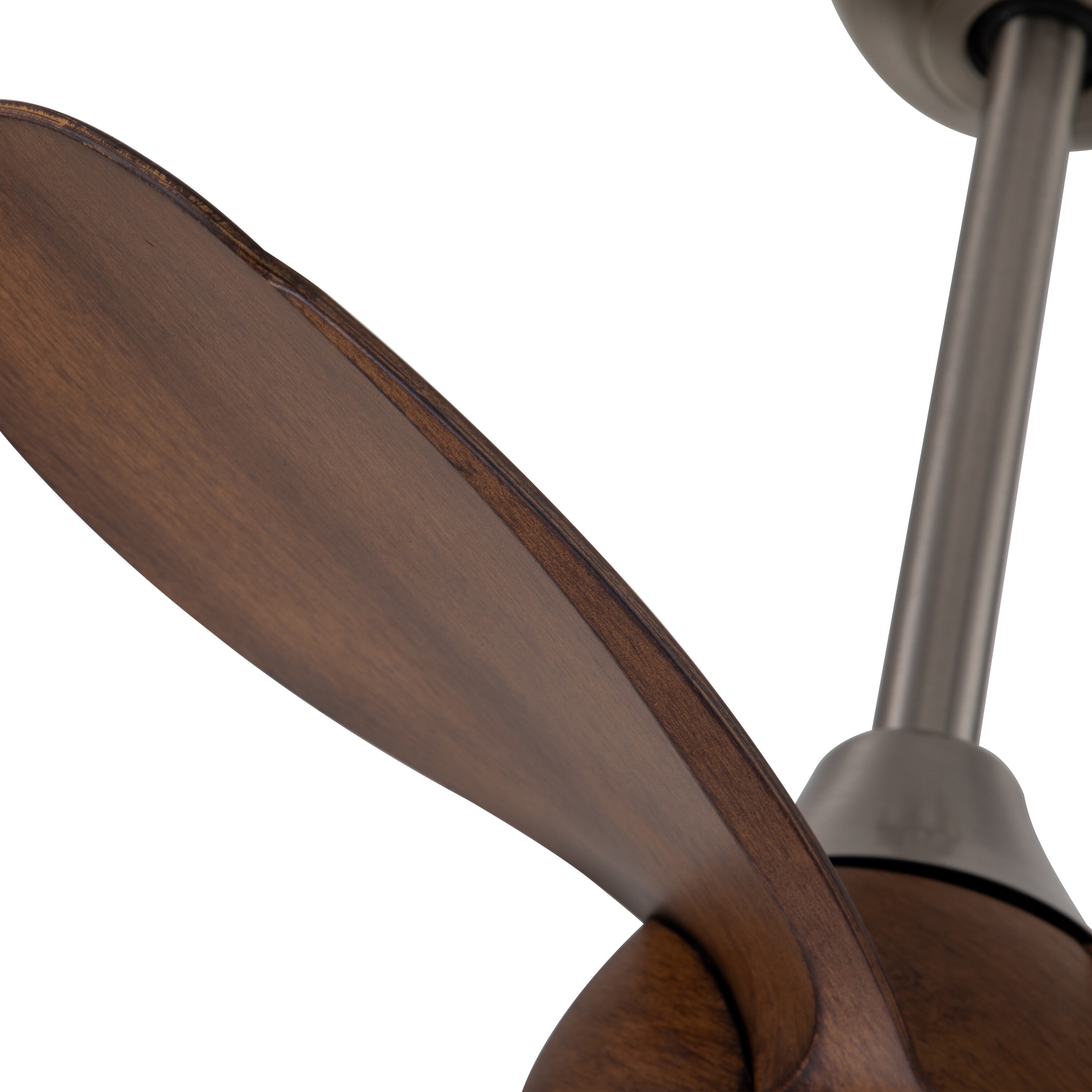 C Cattleya CA2251-CF Ceiling-Fans - View #5