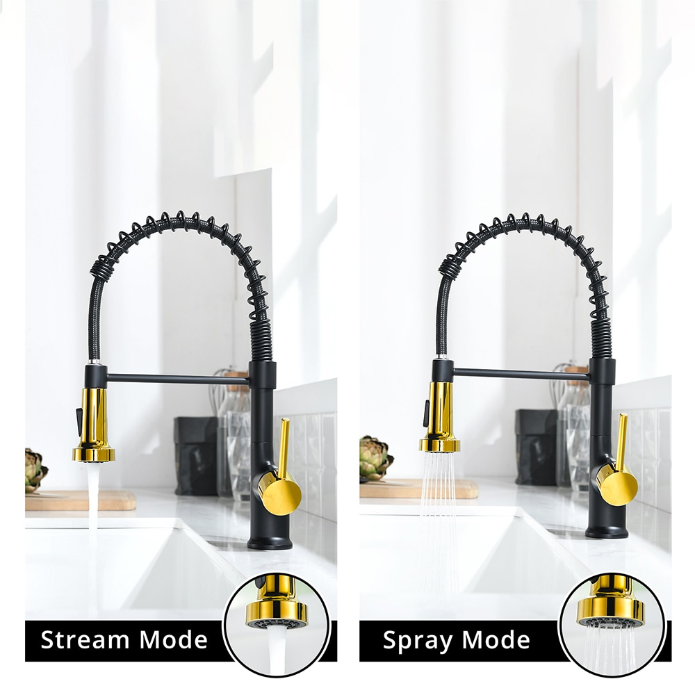 Fapully FA-B-1002BG Kitchen-Faucets - View #3