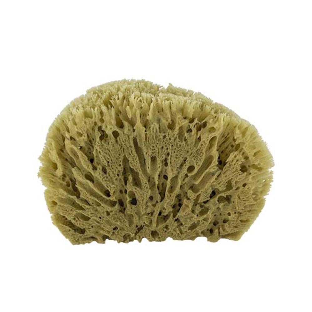 Mediterranean natural sea sponge combo pack