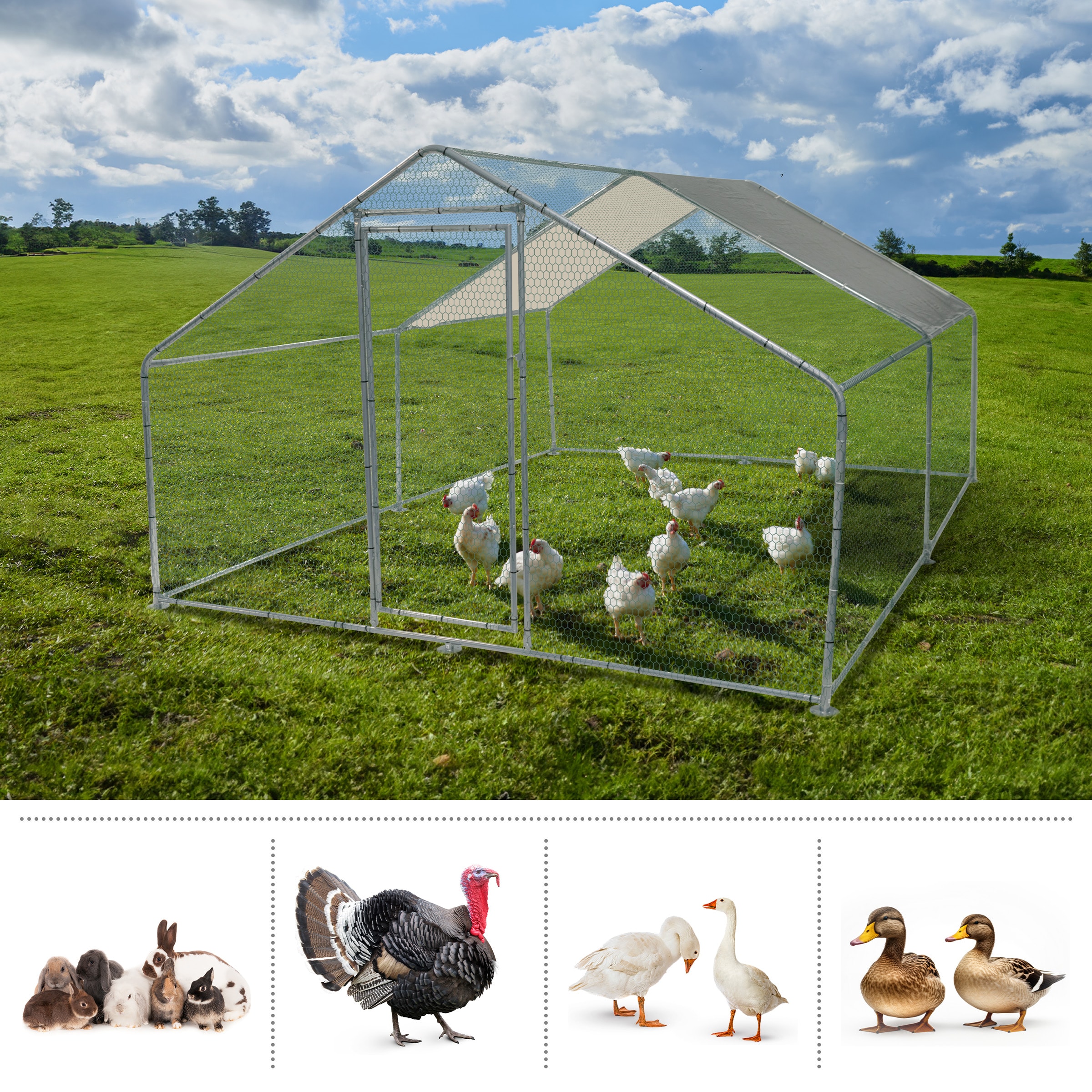 Pure Garden 50-LG1410 Chicken-Coops-Rabbit-Hutches - View #3