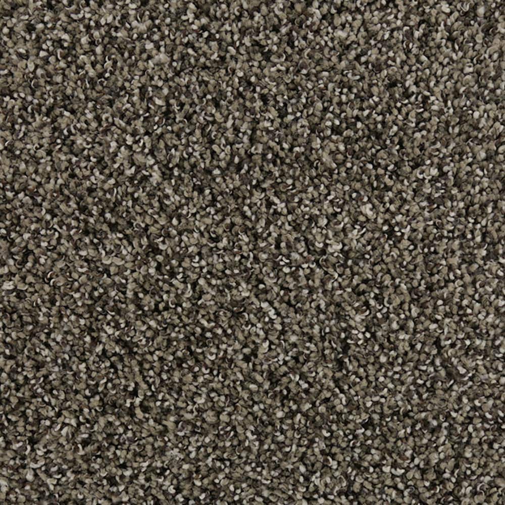 STAINMASTER STP62-12-L005 Tranquil Walk II Crossroads Brown 52-oz sq yard Triexta Textured Indoor Carpet