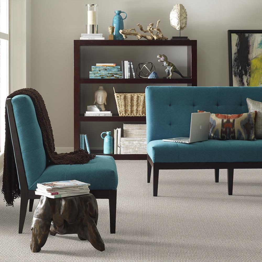 STAINMASTER 7L62100542  - View #4