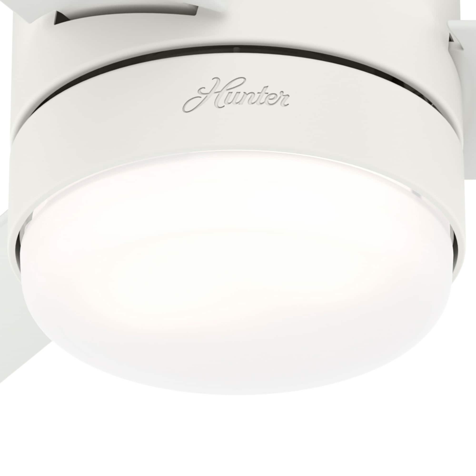 Hunter 51334 Ceiling-Fans - View #15
