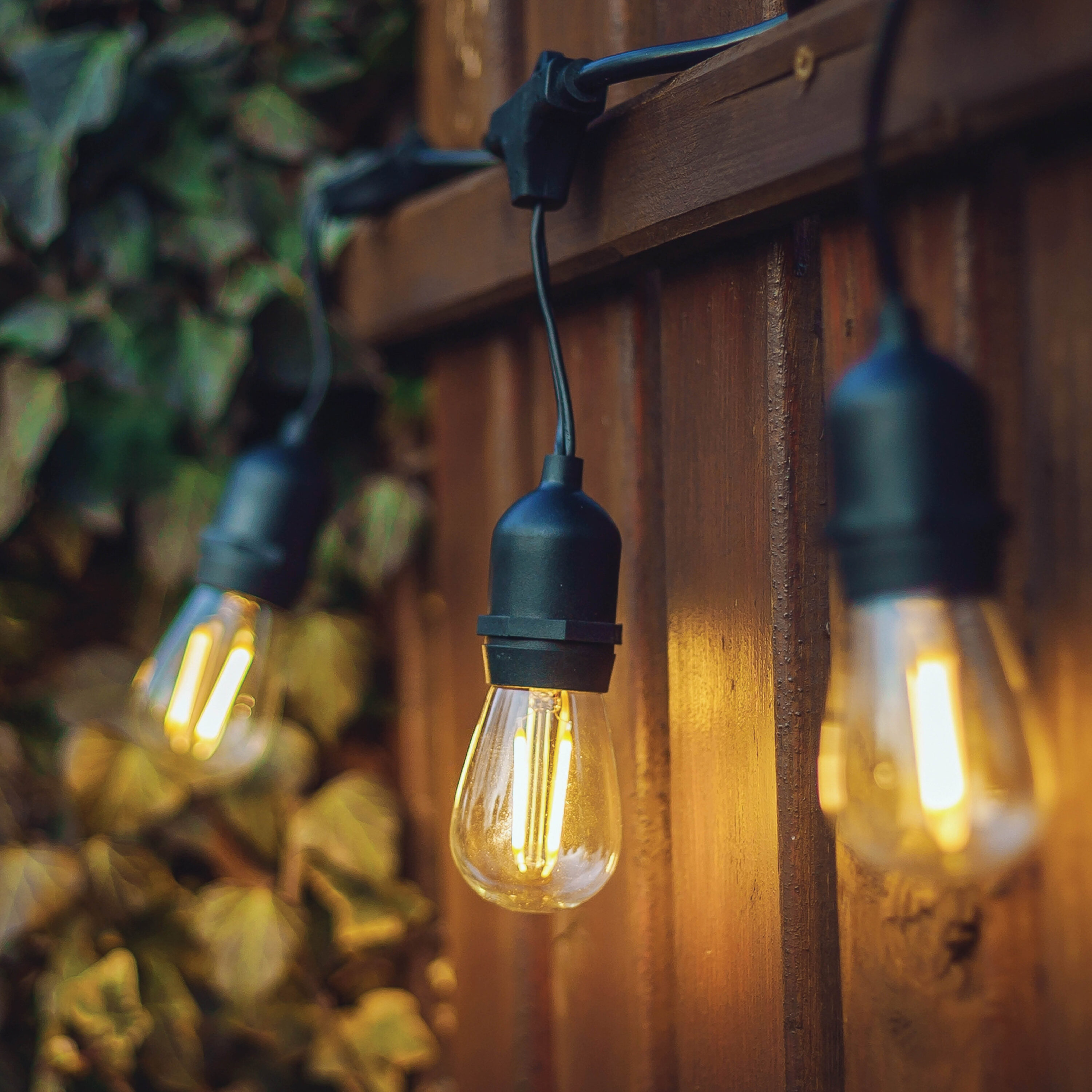 Westinghouse 40030 Patio-String-Lights - View #5