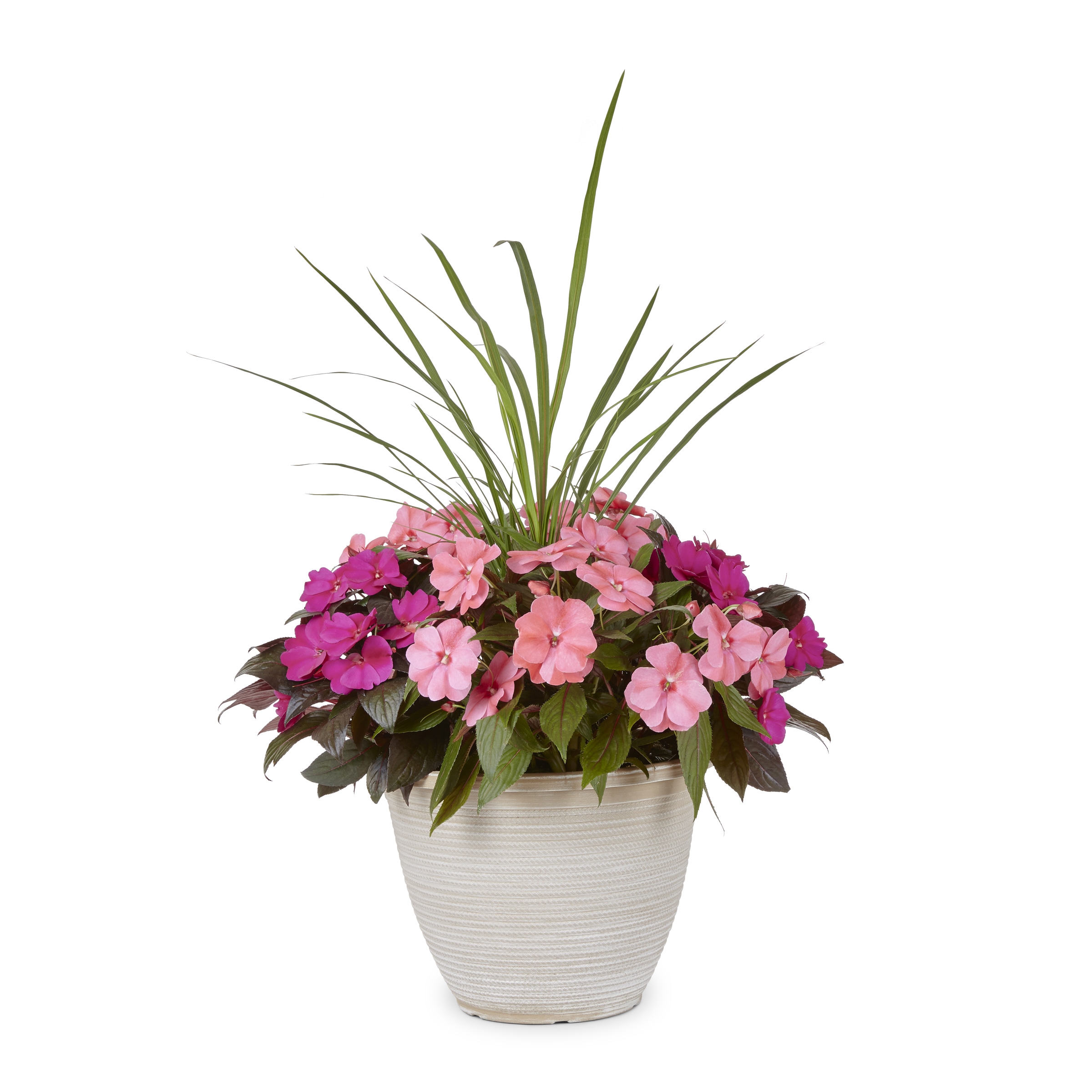 Lowe's 1-6424 Multicolor Mixed Annuals Planter