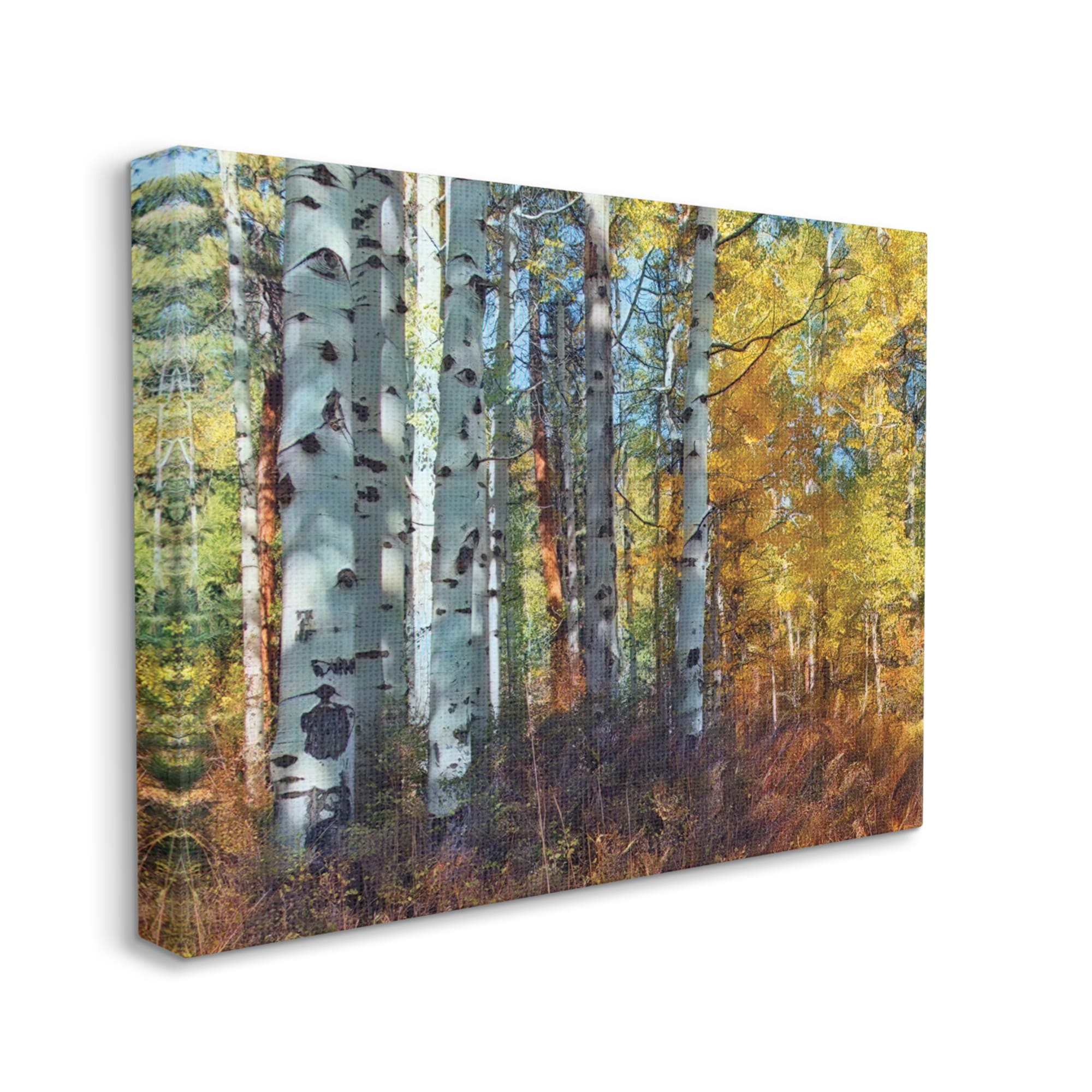 Winter Forest Birch Trees Snow Entrance Doormat Kitchen Mat Carpet