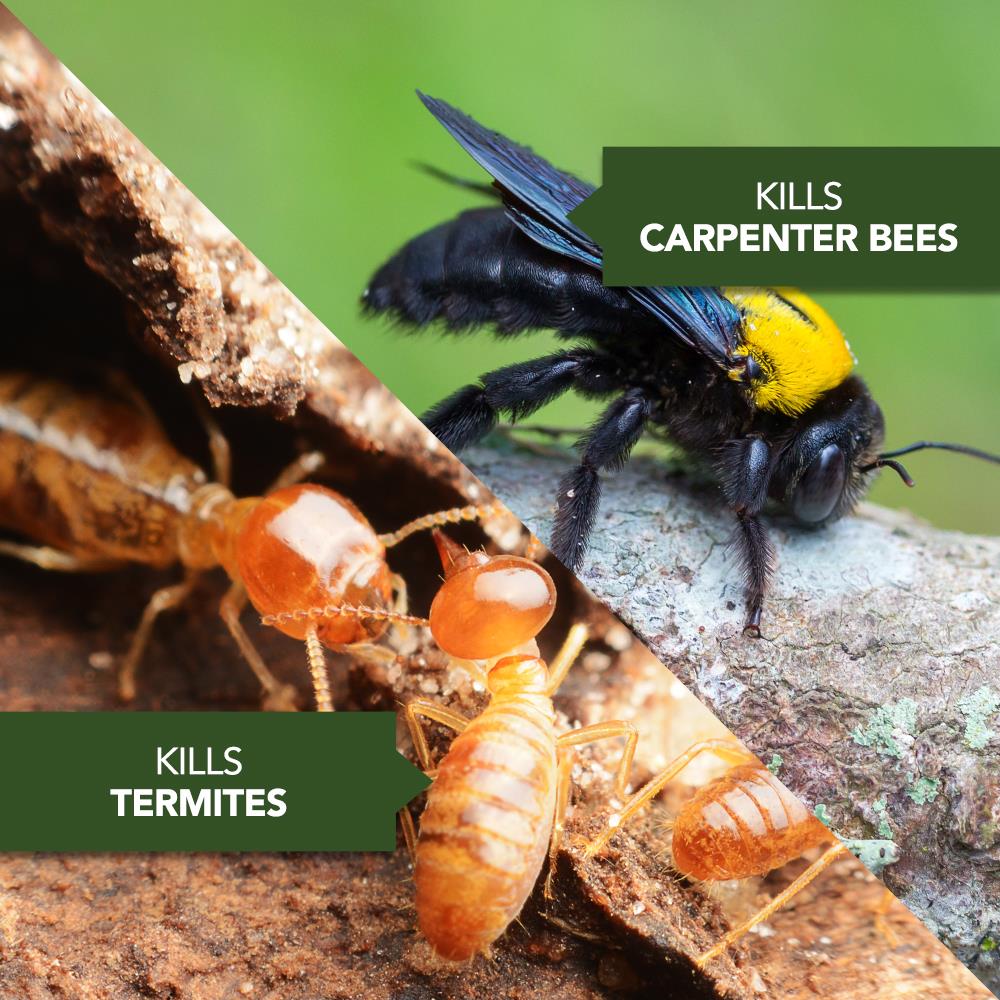 BAYER ADVANCED Termite And Carpenter Bee Killer Plus 18-fl, 52% OFF