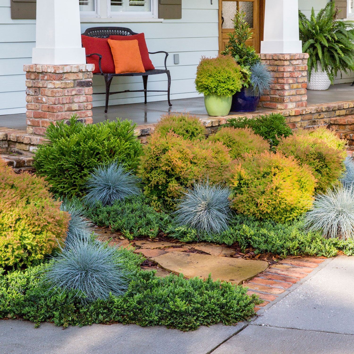 Southern Living Plant Collection 5529Q-1 shrubs - View #4
