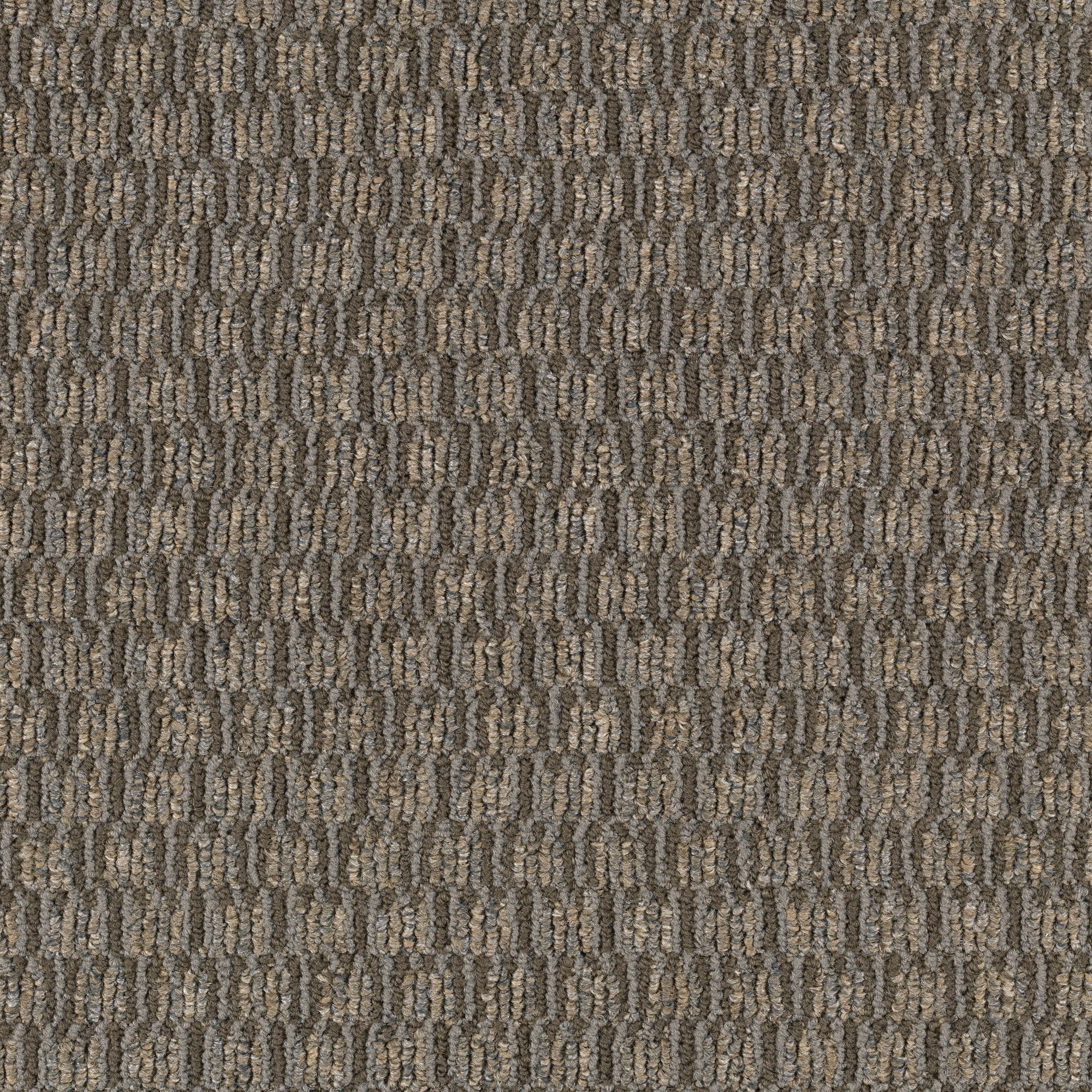 Mohawk LC50-L001-0808 (Sample) Home and Office Mascot Renegade Brown 22-oz sq yard Nylon Textured Indoor Carpet