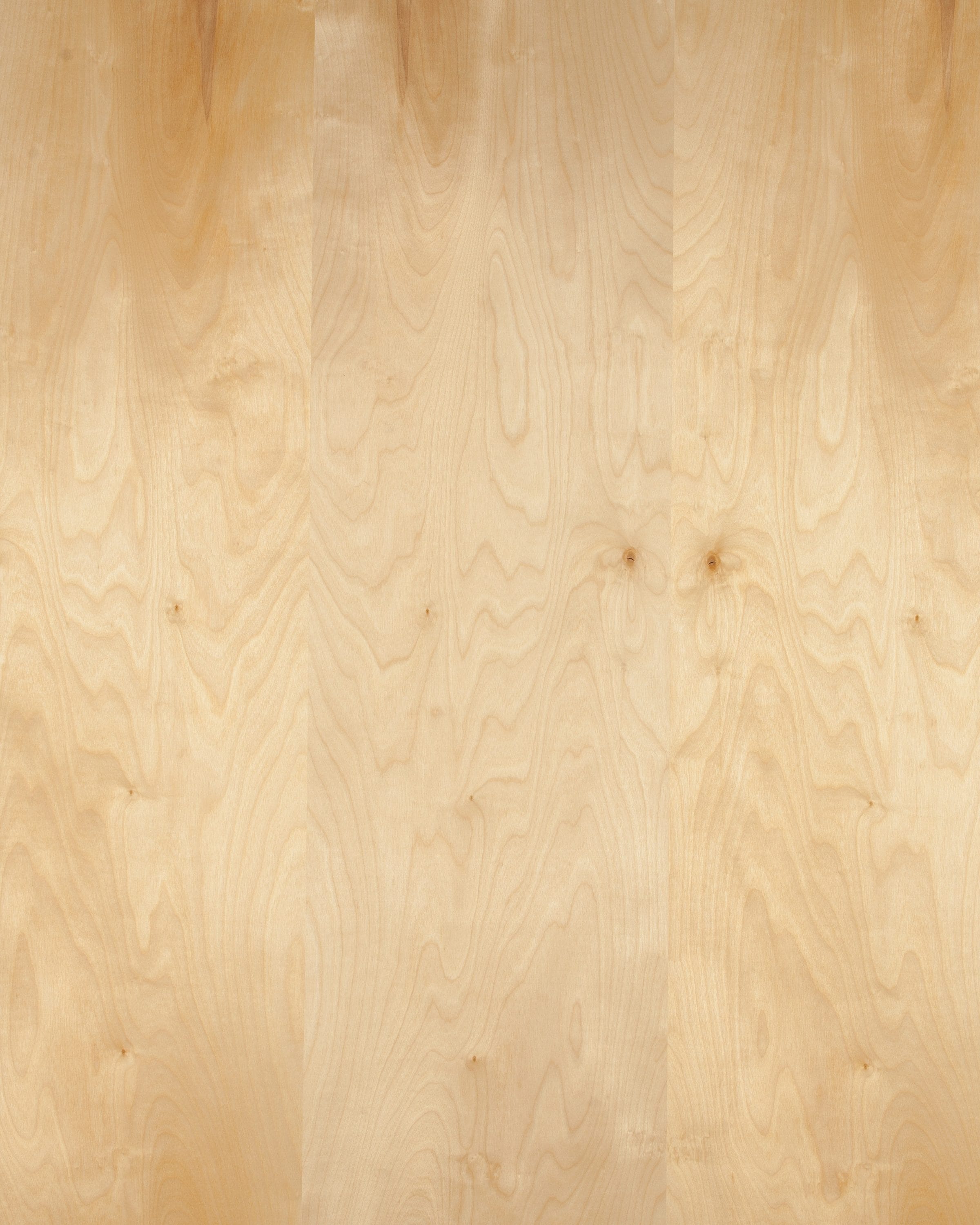 1/8 - B/BB - Premium Baltic Birch Plywood 11.75 x 19 – H & H
