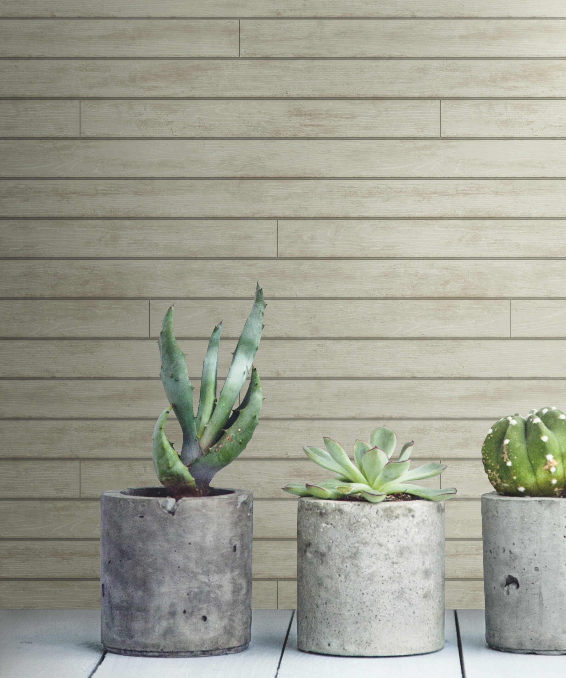 Magnolia Home MH1567 wallpaper - View #2