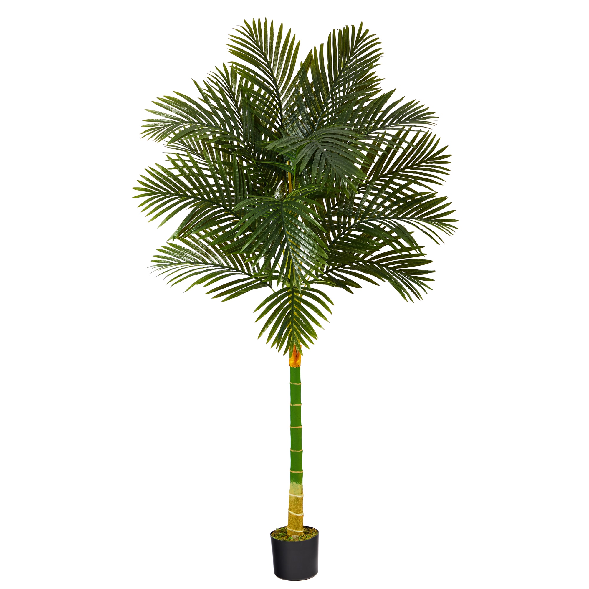 Nearly Natural 72-in Green Indoor Palm Artificial Tree in the ...