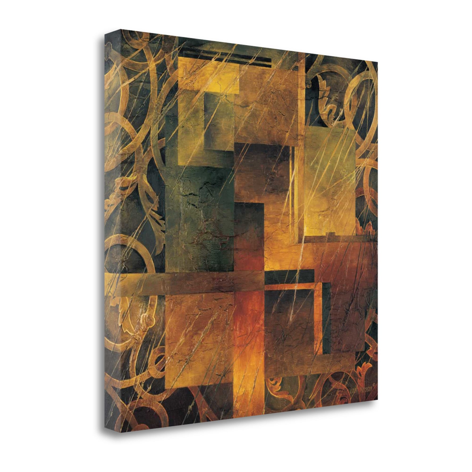 Tangletown Fine Art CA308514-3030C Visual Patterns Ii Linda Thompson 30-in H x 30-in W Abstract Print on Canvas