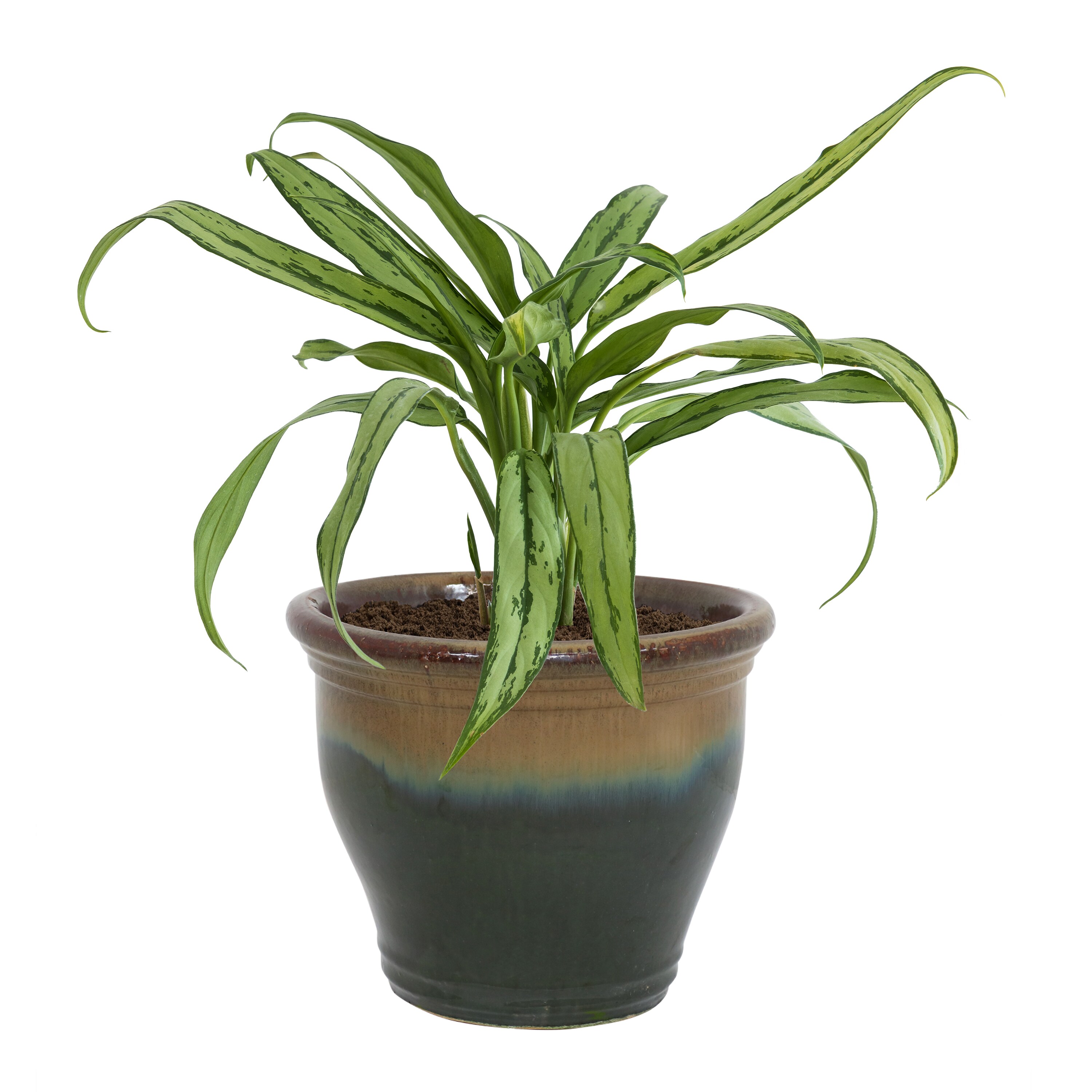 Sunnydaze Decor AP-964 Planter-Window-Box - View #10