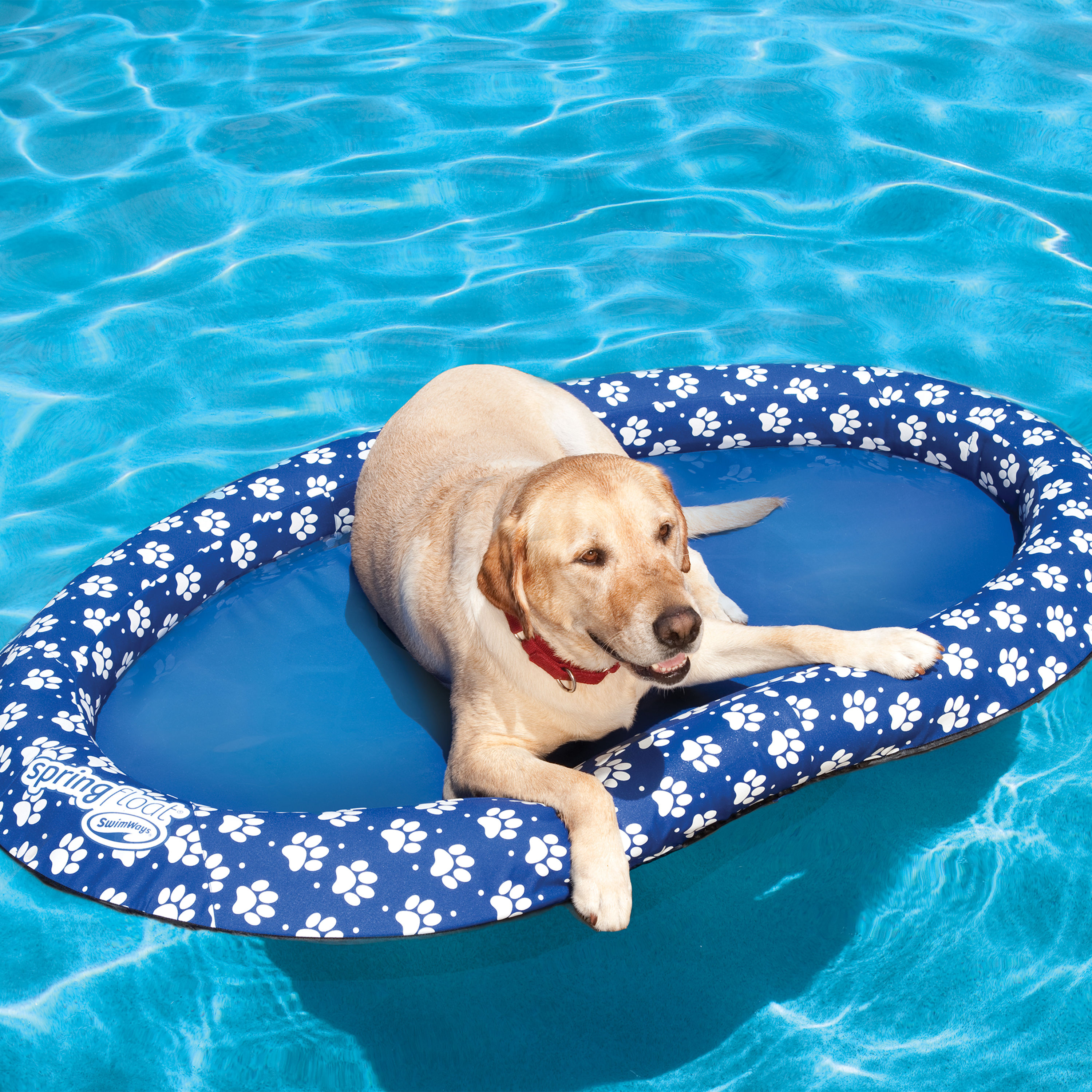 Dog Floating Pool Entry Mat 