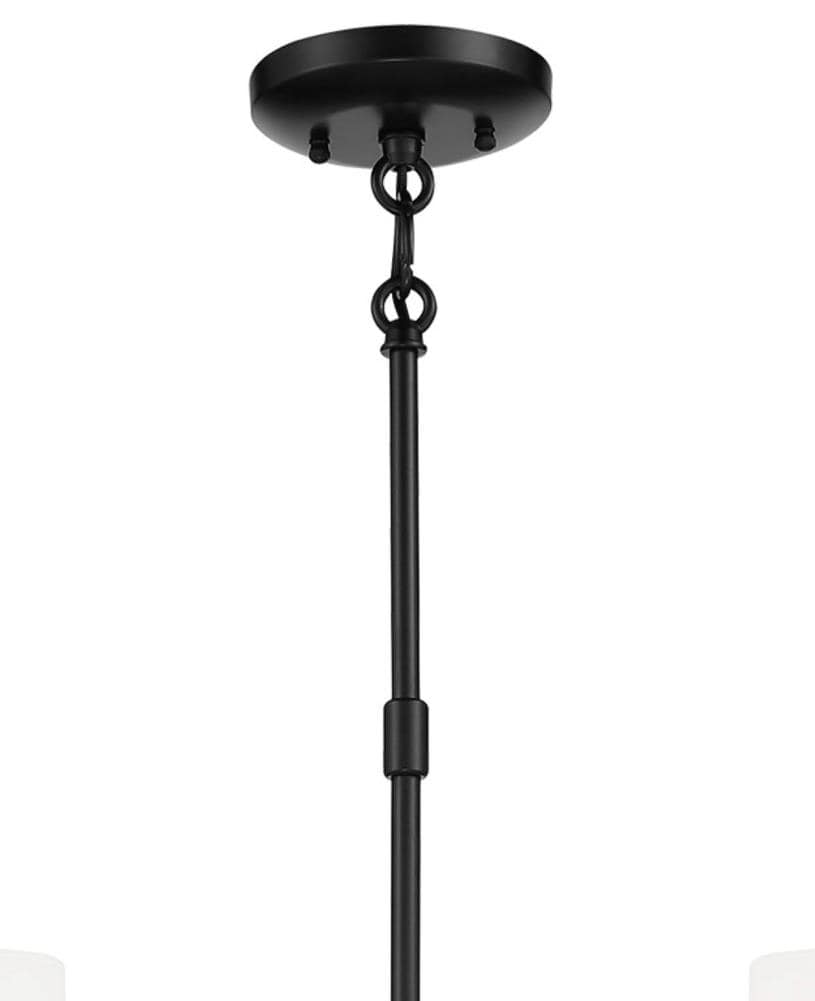 Coal Black Etched White Glass 5-Light Transitional Chandelier
