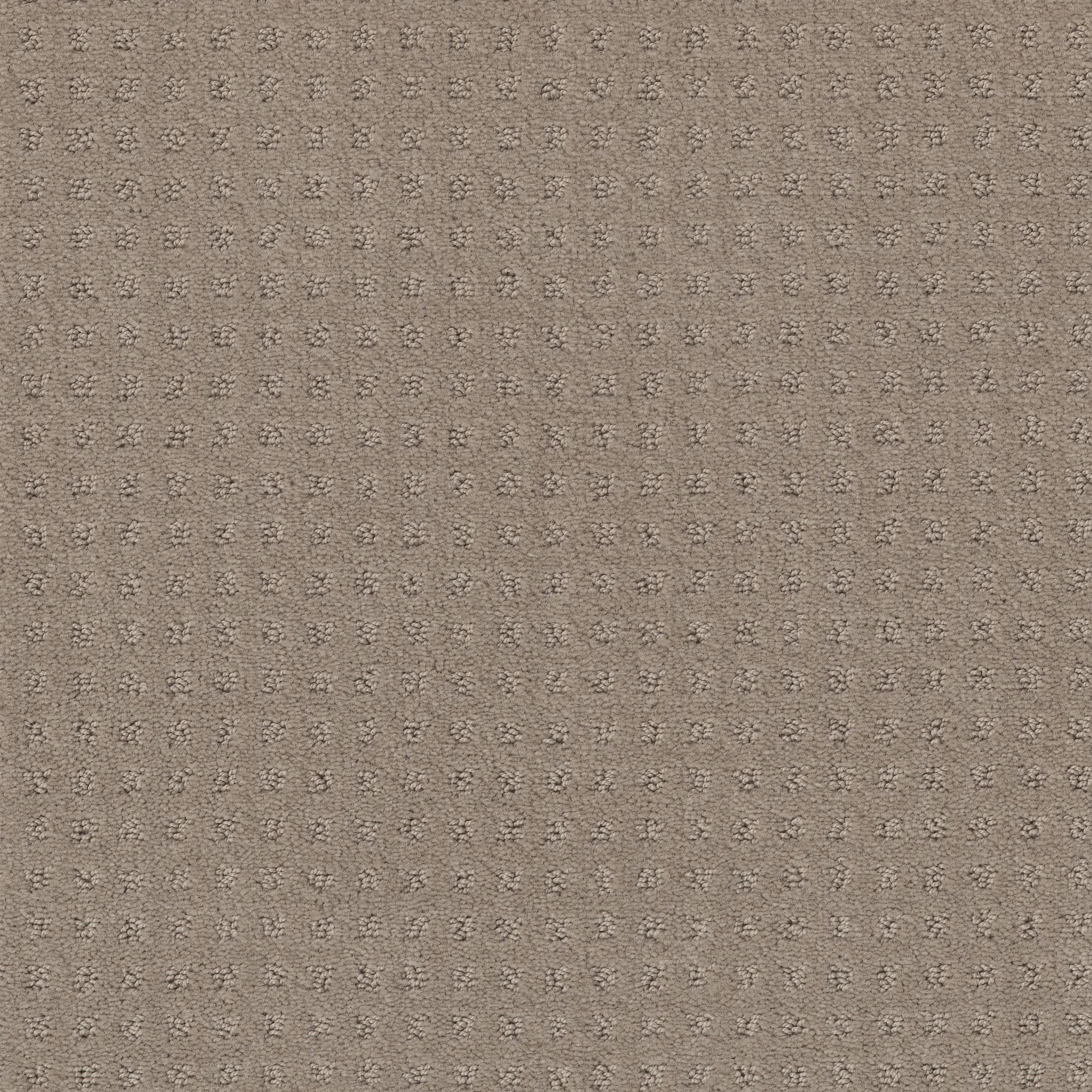 STAINMASTER PetProtect 7L898 - 752 - SAMP (Sample) Friends Furrever Barista Brown 29.3-oz sq yard Nylon Pattern Indoor Carpet