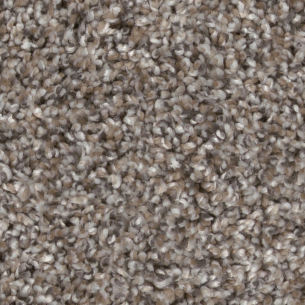 STAINMASTER 7L94900111 Pleasant Surprise I 12 Chic Greige Brown 43.9-oz sq yard High-performance polyester Textured Indoor Carpet