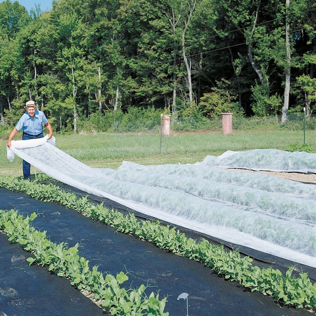 Gardens Alive Spun bond Material Blanket Common 10 ft x 50 ft Actual 10 ft x 50 ft in the Plant Protection department at Lowes