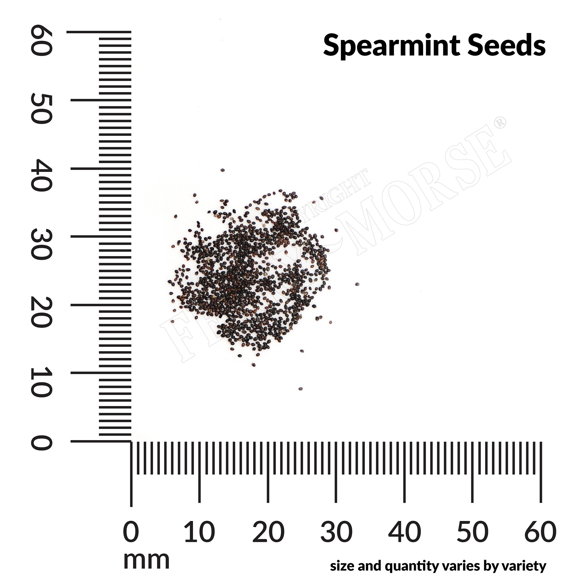 Ferry-Morse LC25.9018 Vegetable-Herb-Seeds - View #4