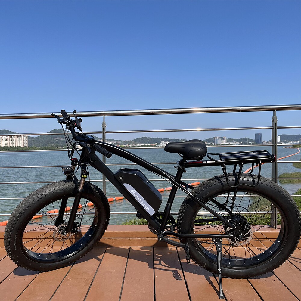 ZAKLOOP XUS103 bikes - View #7