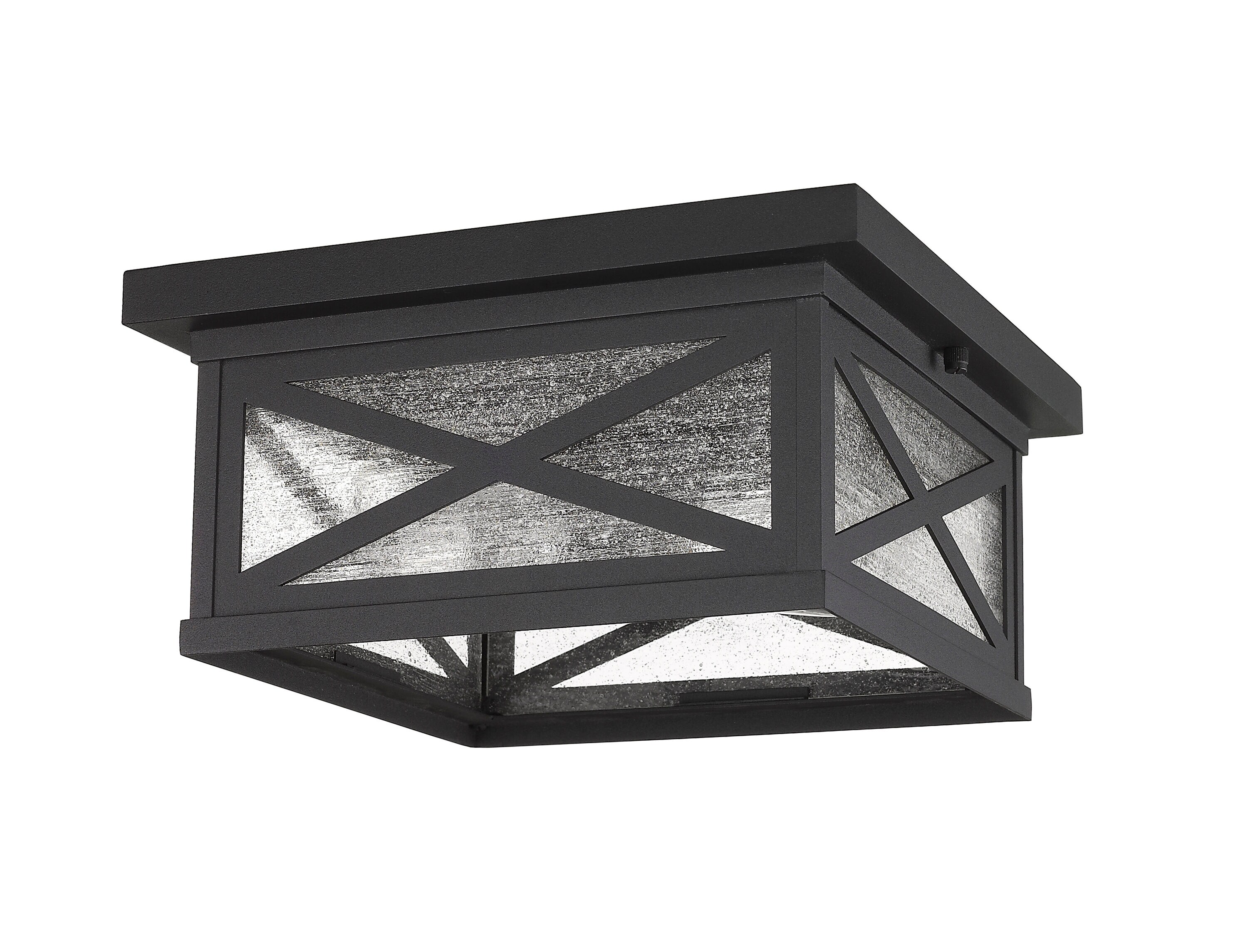 Matte Black Aluminum 2-Light Outdoor Flush Mount with Seedy Glass