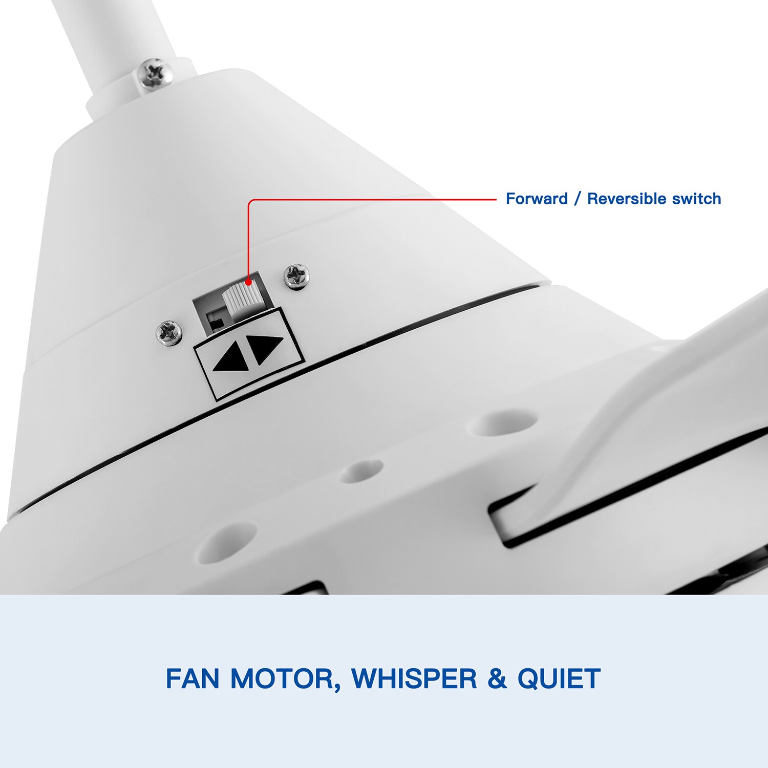 SINOFURN SYA820107WT Ceiling-Fans - View #11