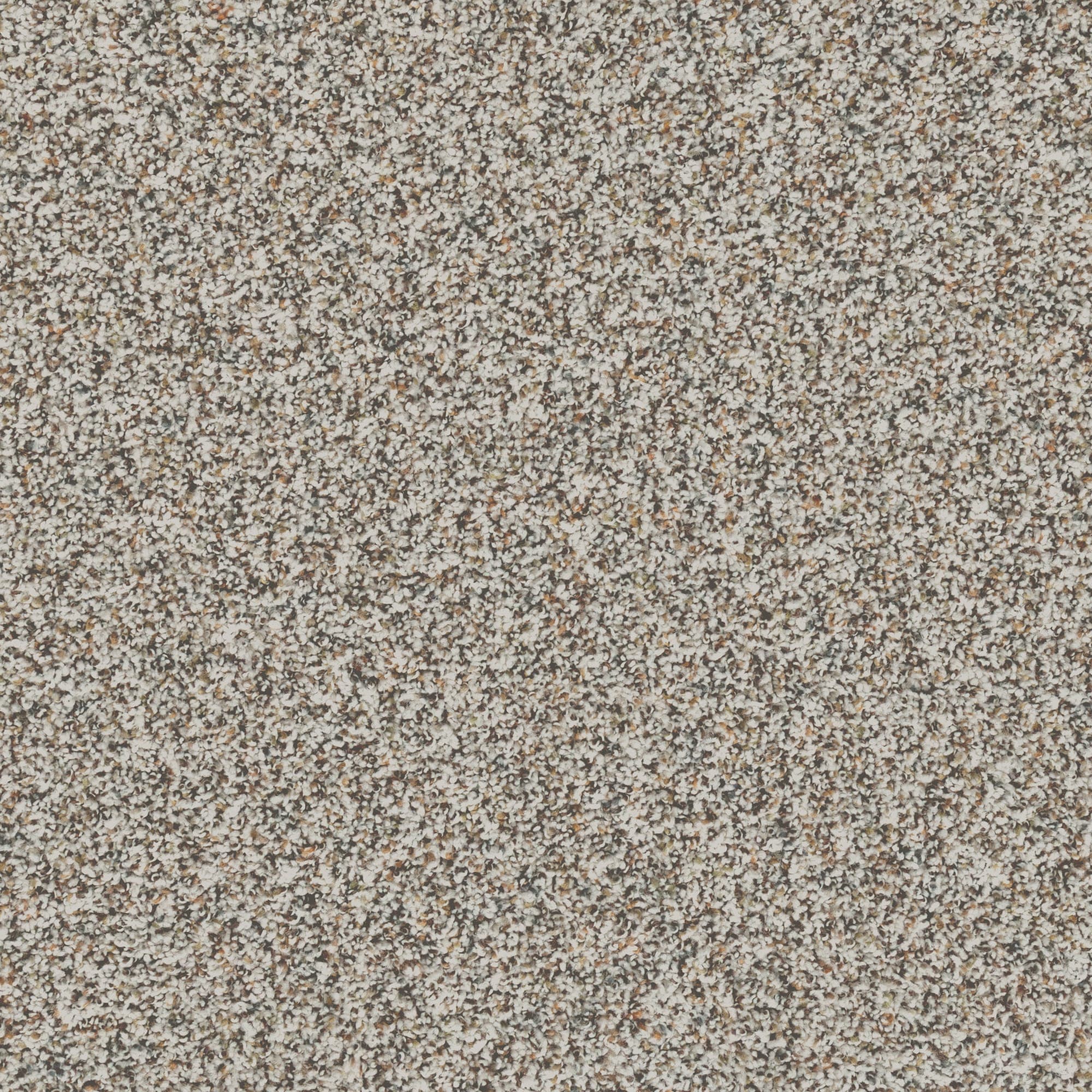 STAINMASTER PetProtect STP46-12-L009 Pet Peeve Dreams Brown 60-oz sq yard Triexta Textured Indoor Carpet