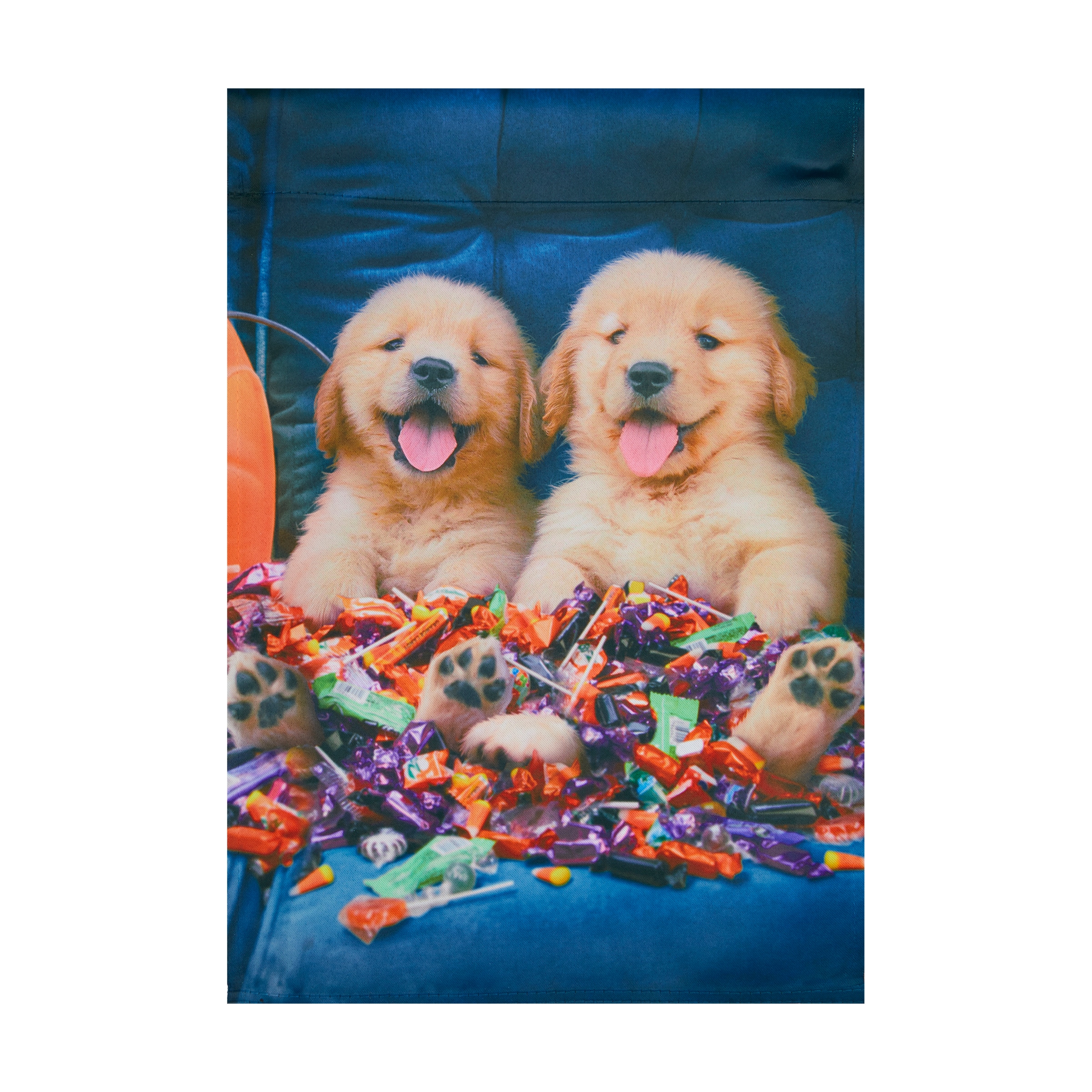 Style Selections ZLW14S12750 1.25-ft W x 3.33-ft H Dogs Garden flag Kit
