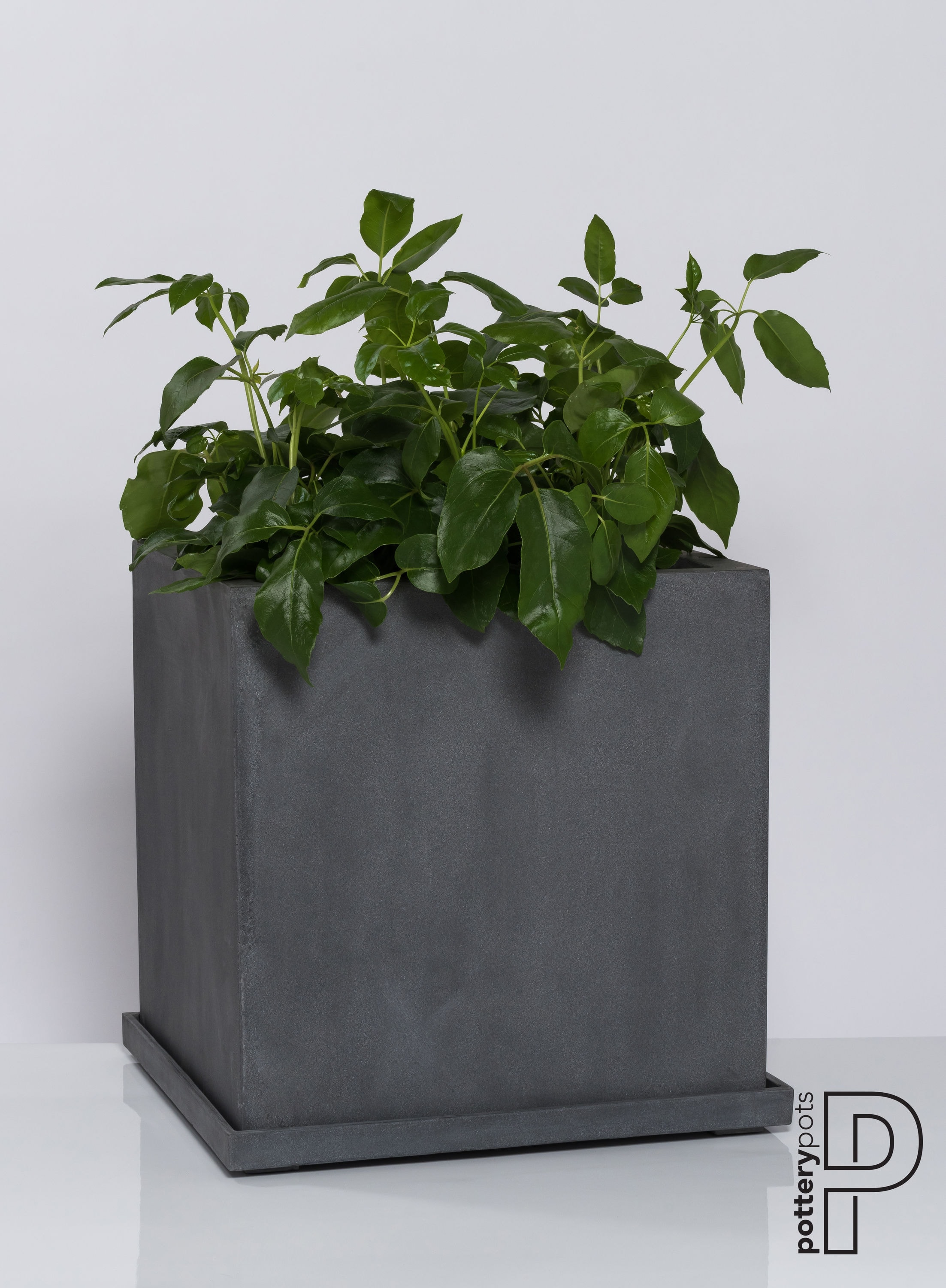 Pottery Pots 20.5-in Grey Stone at Saucer Plant