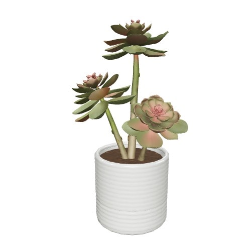 Three-dimensional representation of the product