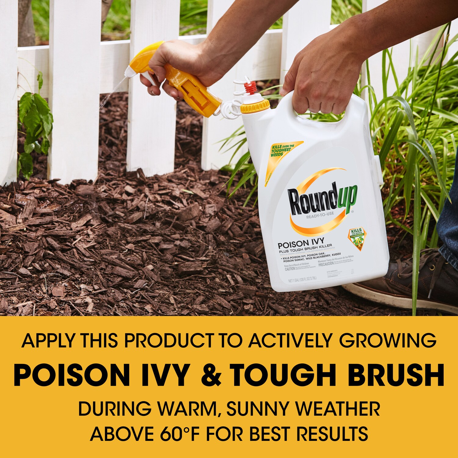 Roundup Poison Ivy Plus Tough Brush Killer