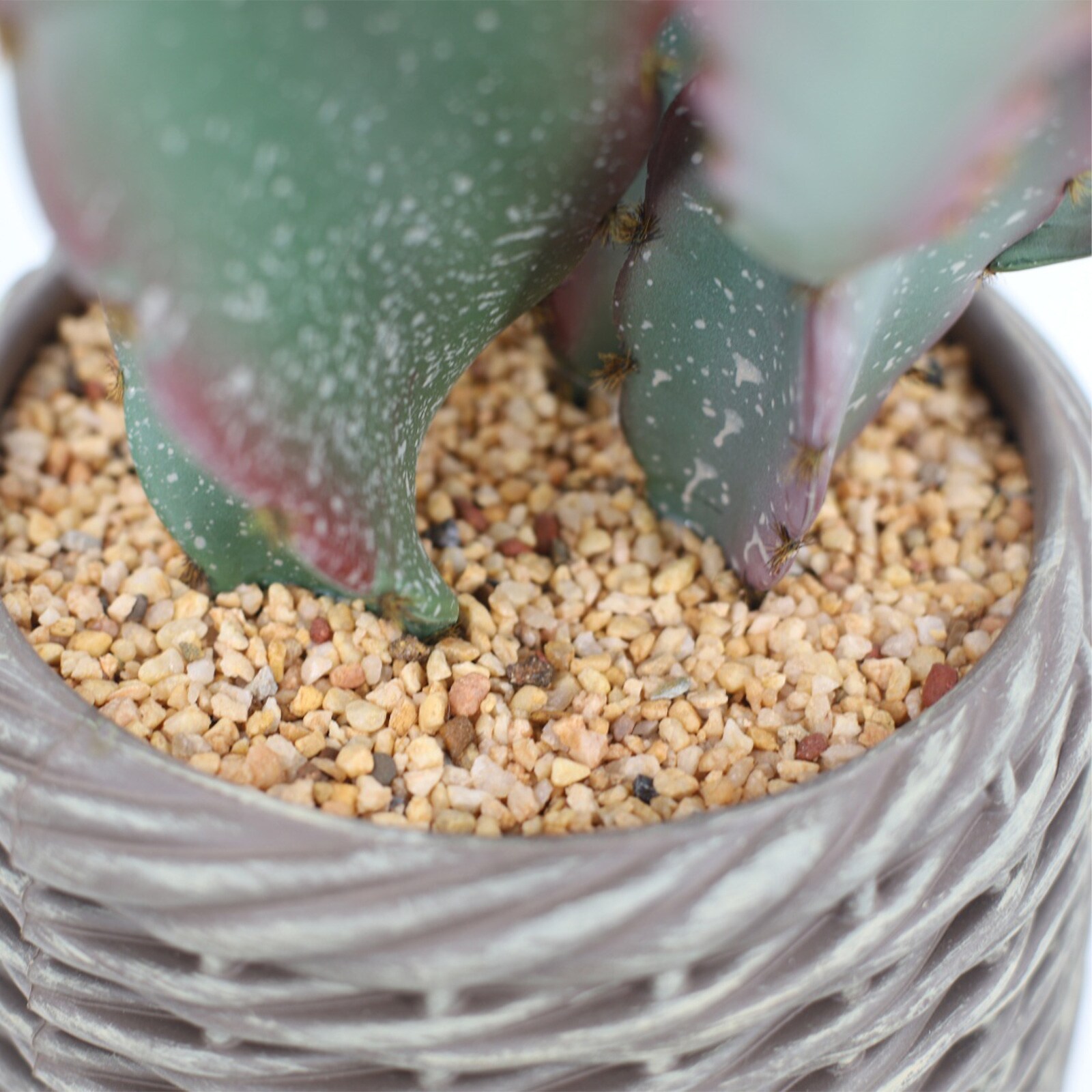 Photo inspiration: Visual Reference: Der Rose 1Pc Eva Realistic Fake Cactus Plant 36 Inch