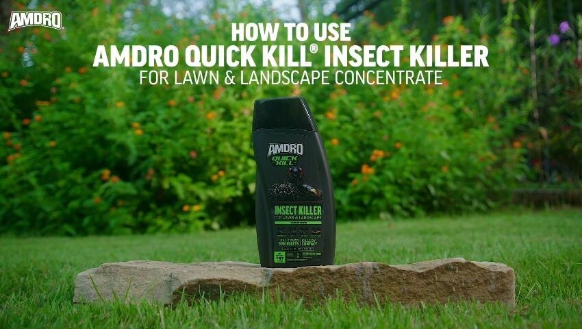 A thumbnail for the video