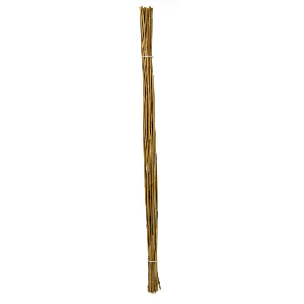 Bond 25-Pack 48-in Bamboo Landscape Stake in the Landscape Stakes  department at