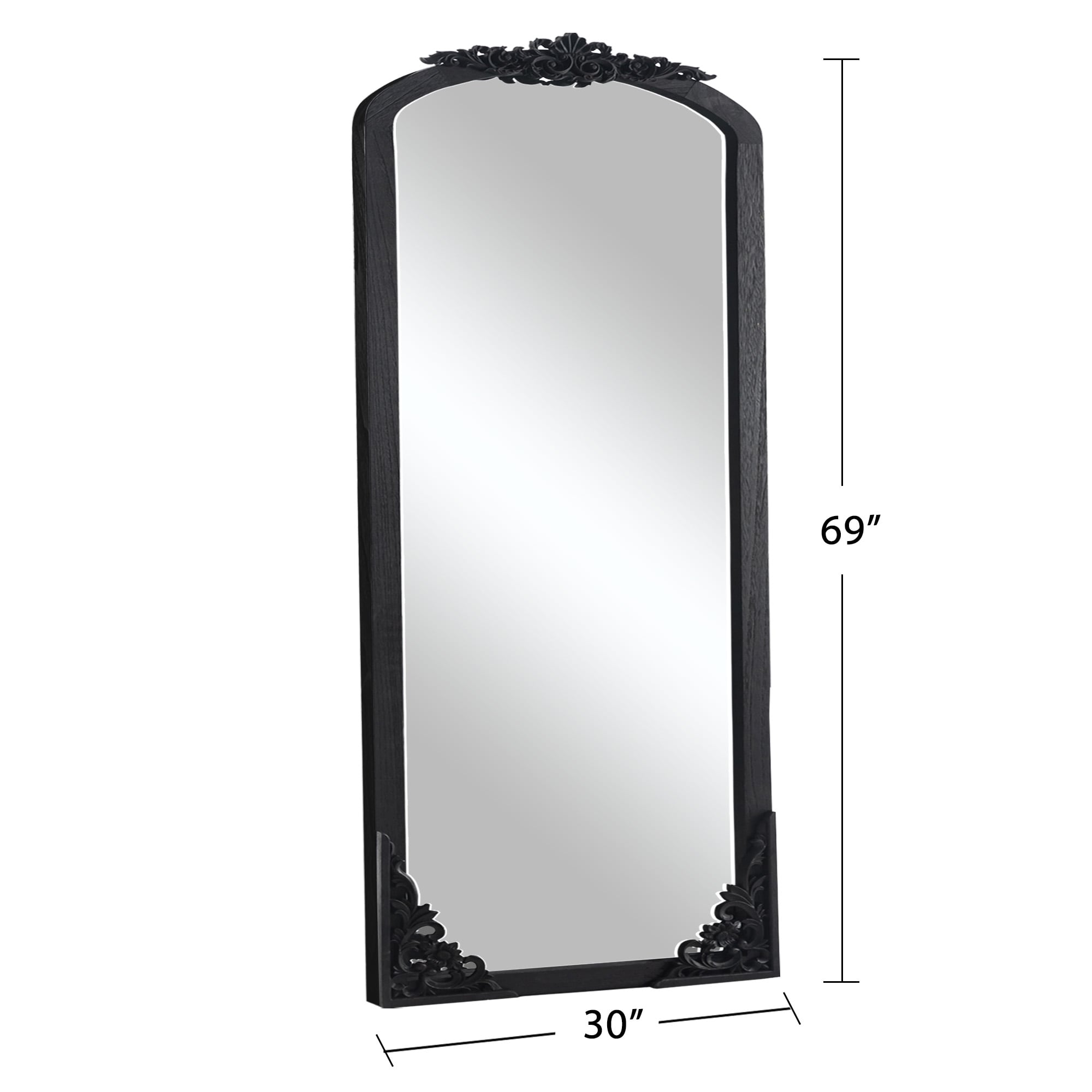 NeuType 30-in W x 70-in H Black Framed Full Length Wall Mirror in the ...